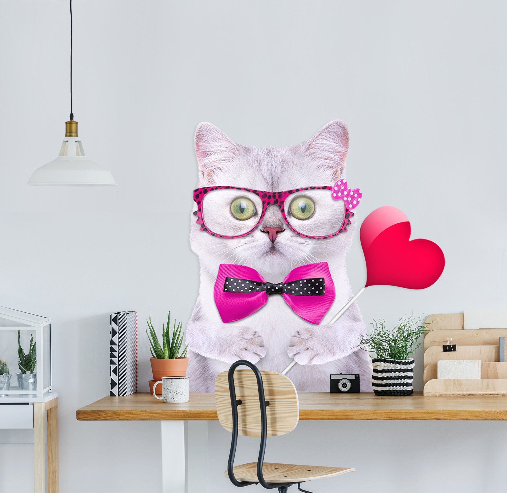 3D Fan Cat 180 Animals Wall Stickers Wallpaper AJ Wallpaper