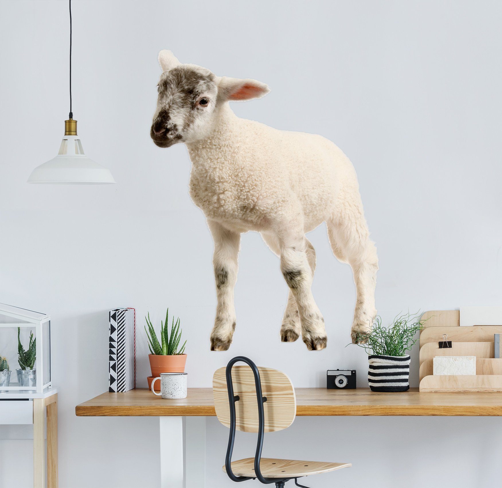 3D Black and white head sheep 009 Animals Wall Stickers Wallpaper AJ Wallpaper