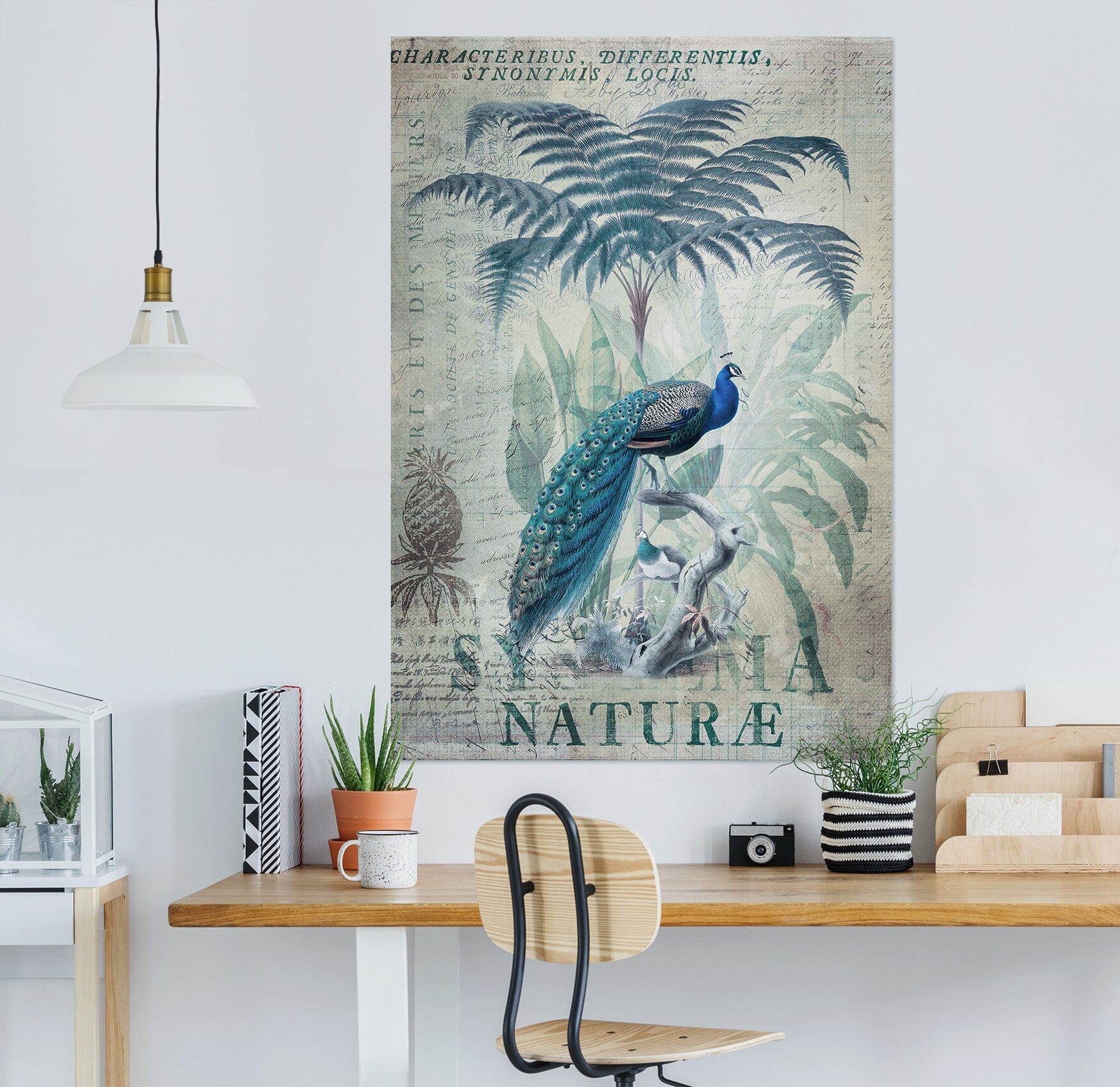 3D Coconut Peacock 1028 Andrea haase Wall Sticker Wallpaper AJ Wallpaper 2