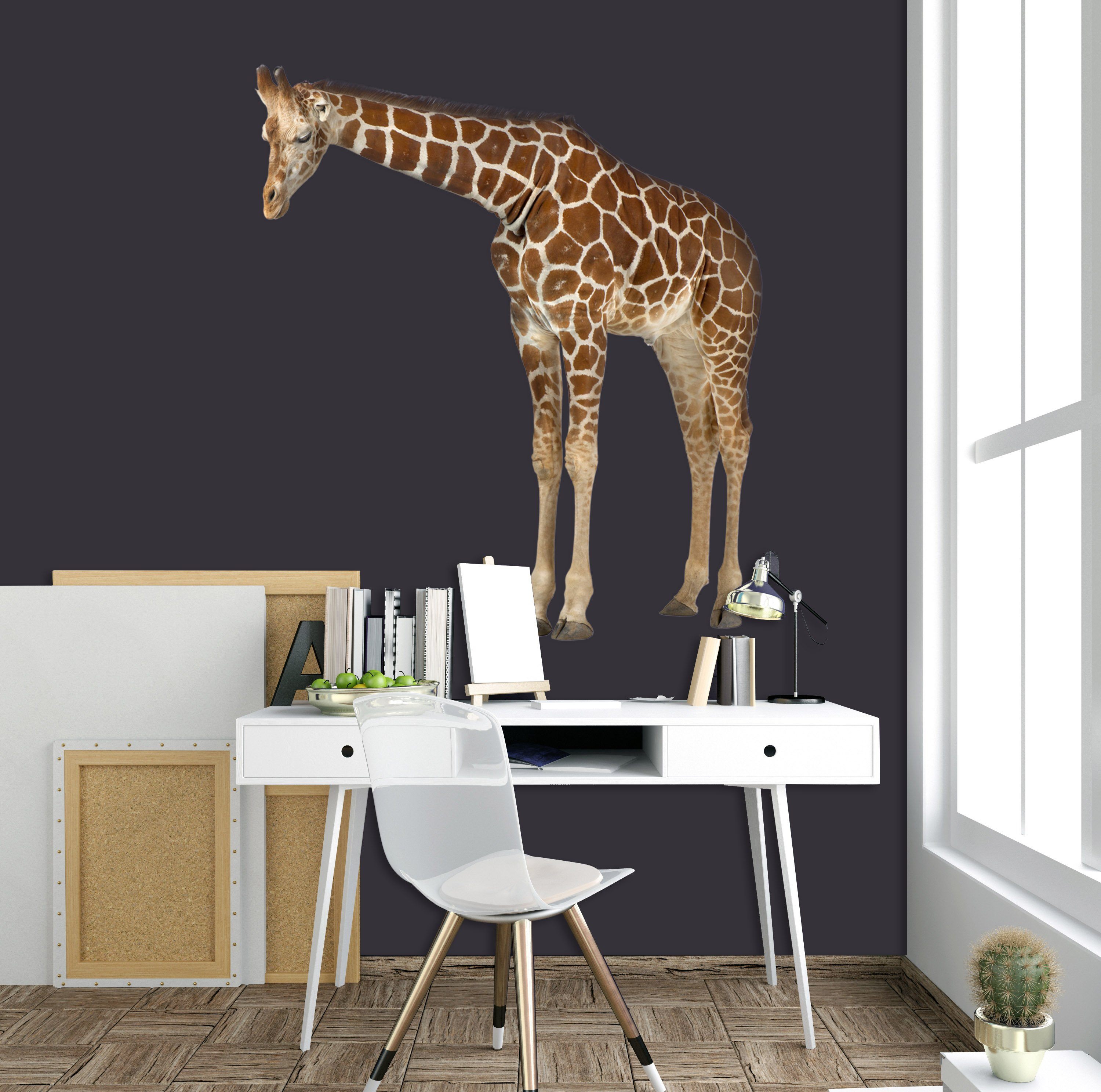 3D Duck Giraffe 089 Animals Wall Stickers Wallpaper AJ Wallpaper