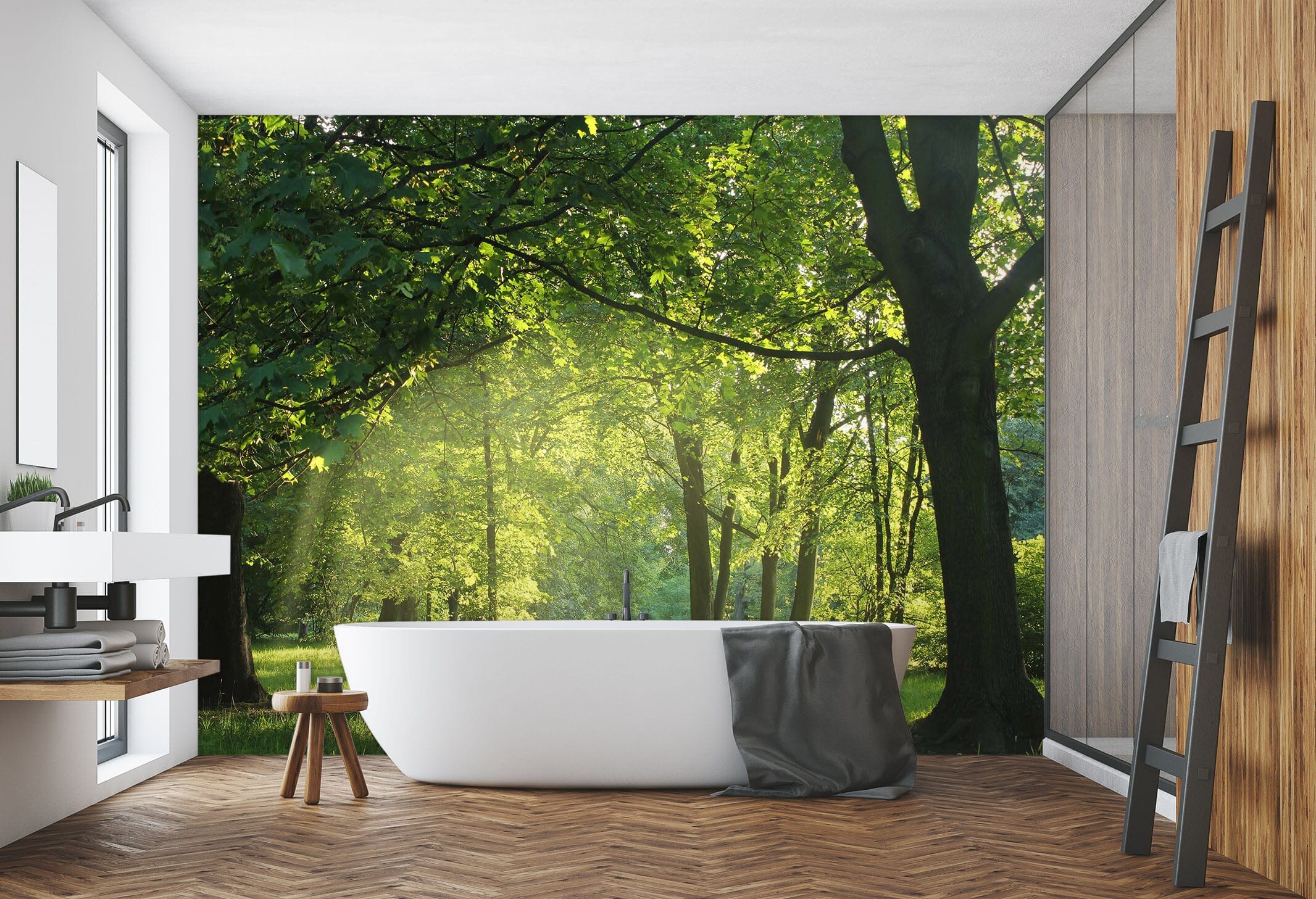 3D Park Forest 019 Wall Murals Wallpaper AJ Wallpaper 2