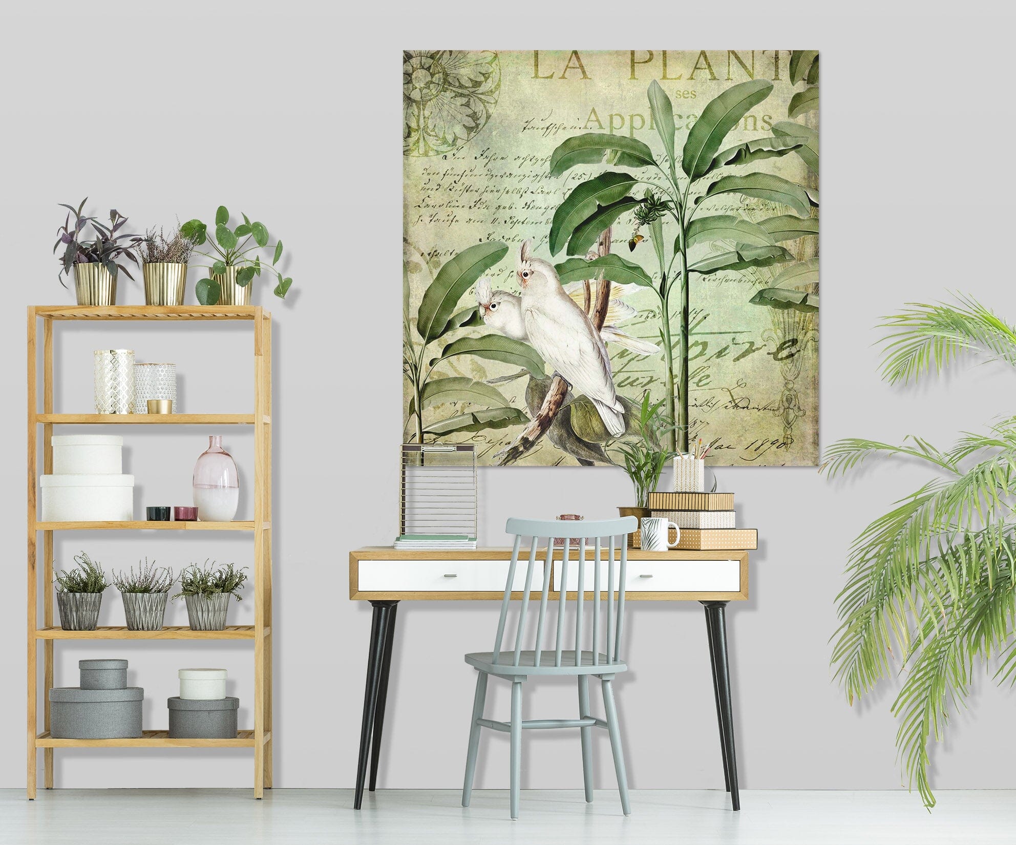 3D Kakadu 054 Andrea haase Wall Sticker Wallpaper AJ Wallpaper 2