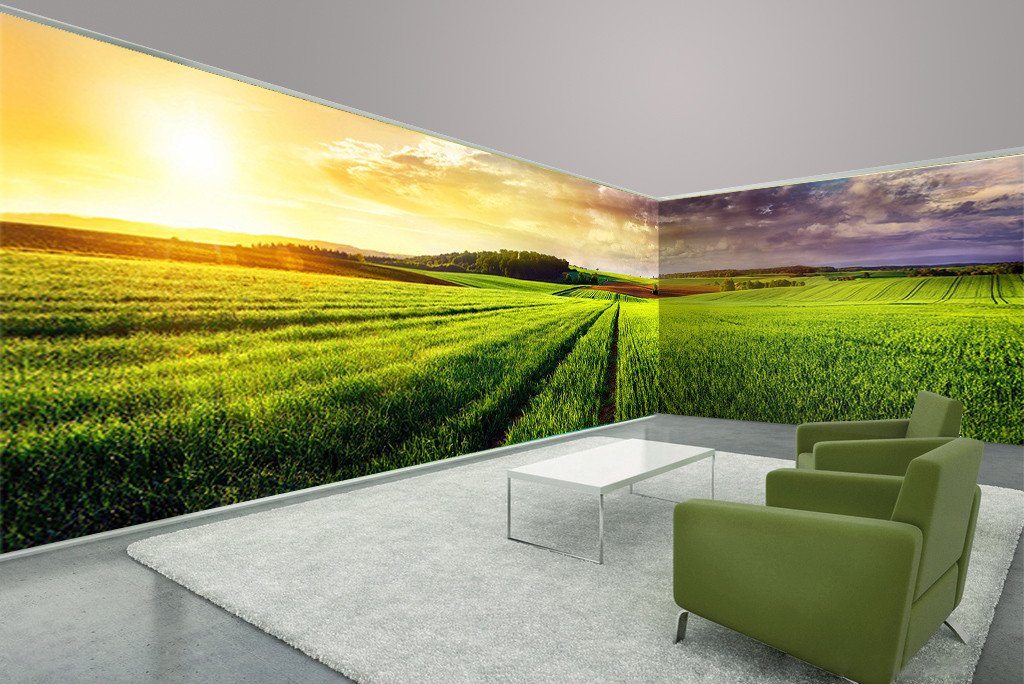 3D Green Fields Grassland 99 Wallpaper AJ Wallpaper