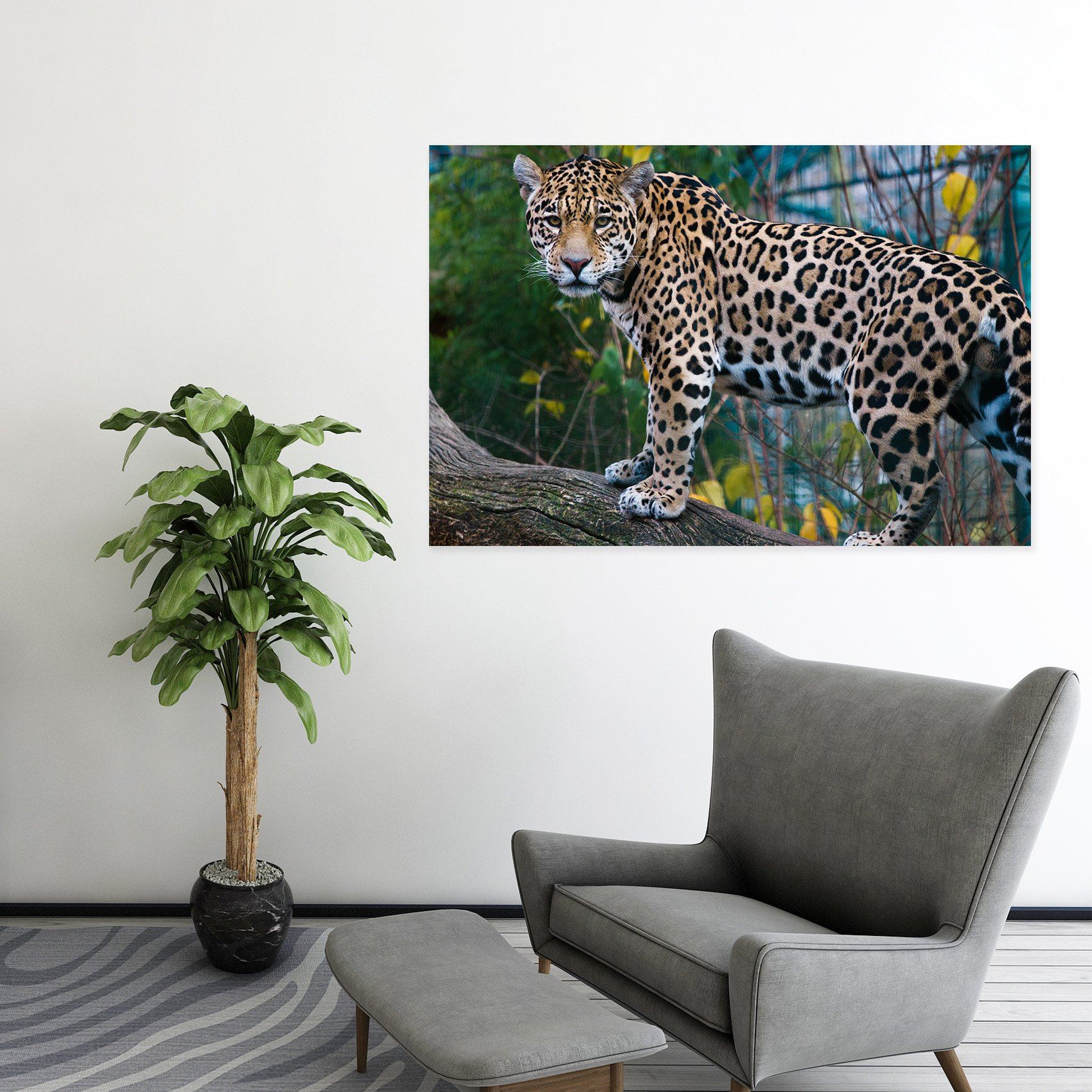 3D Forest Tiger 28 Animal Wall Stickers Wallpaper AJ Wallpaper 2