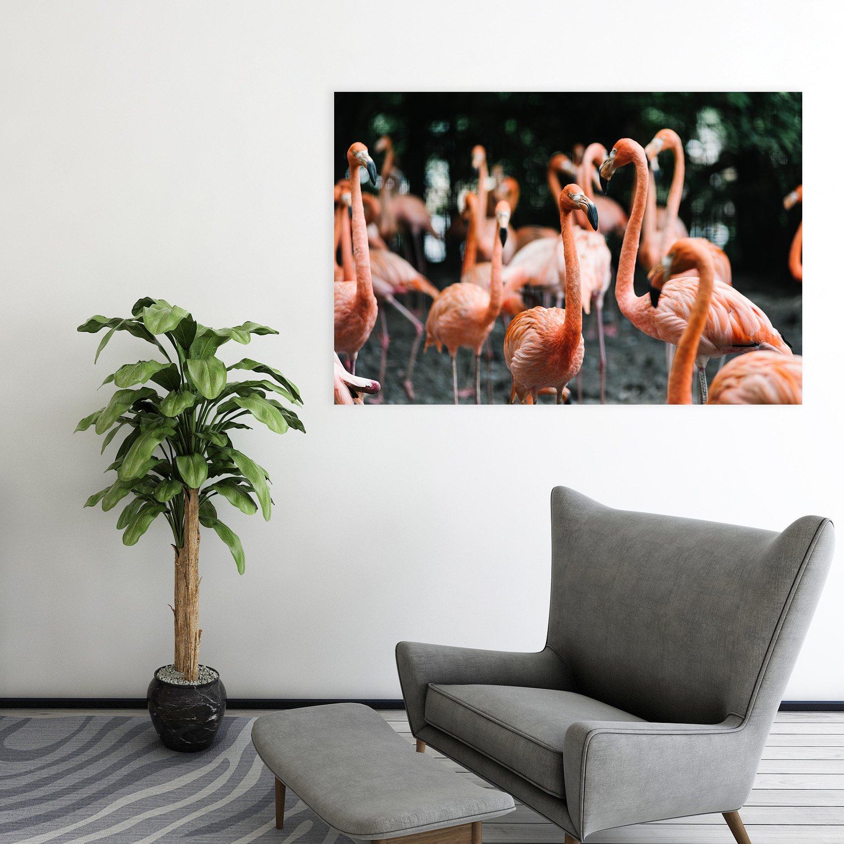 3D Playful Flamingo 59 Animal Wall Stickers Wallpaper AJ Wallpaper 2