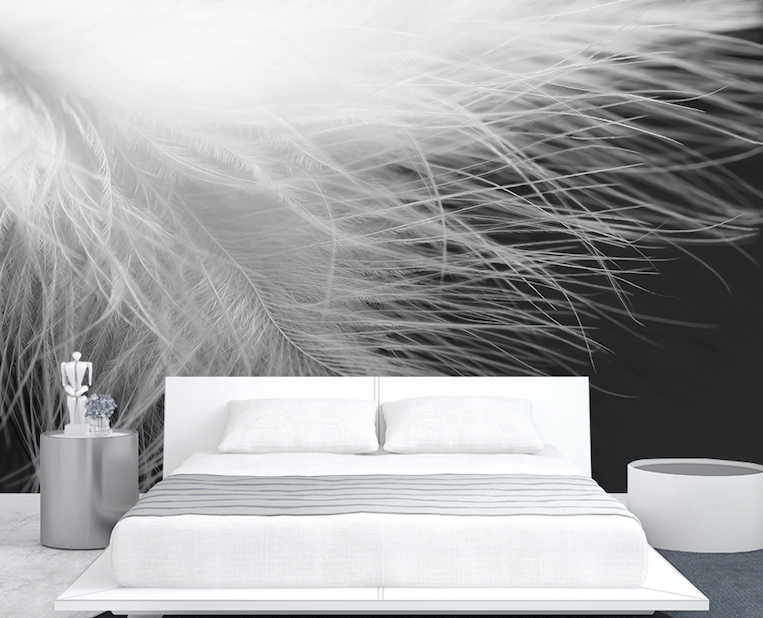 3D White Feather WG291 Wall Murals