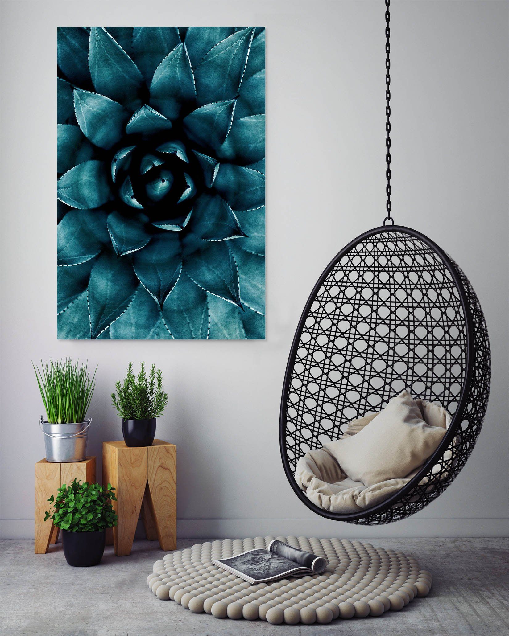 3D Cactus 012 Boris Draschoff Wall Sticker Wallpaper AJ Wallpaper 2