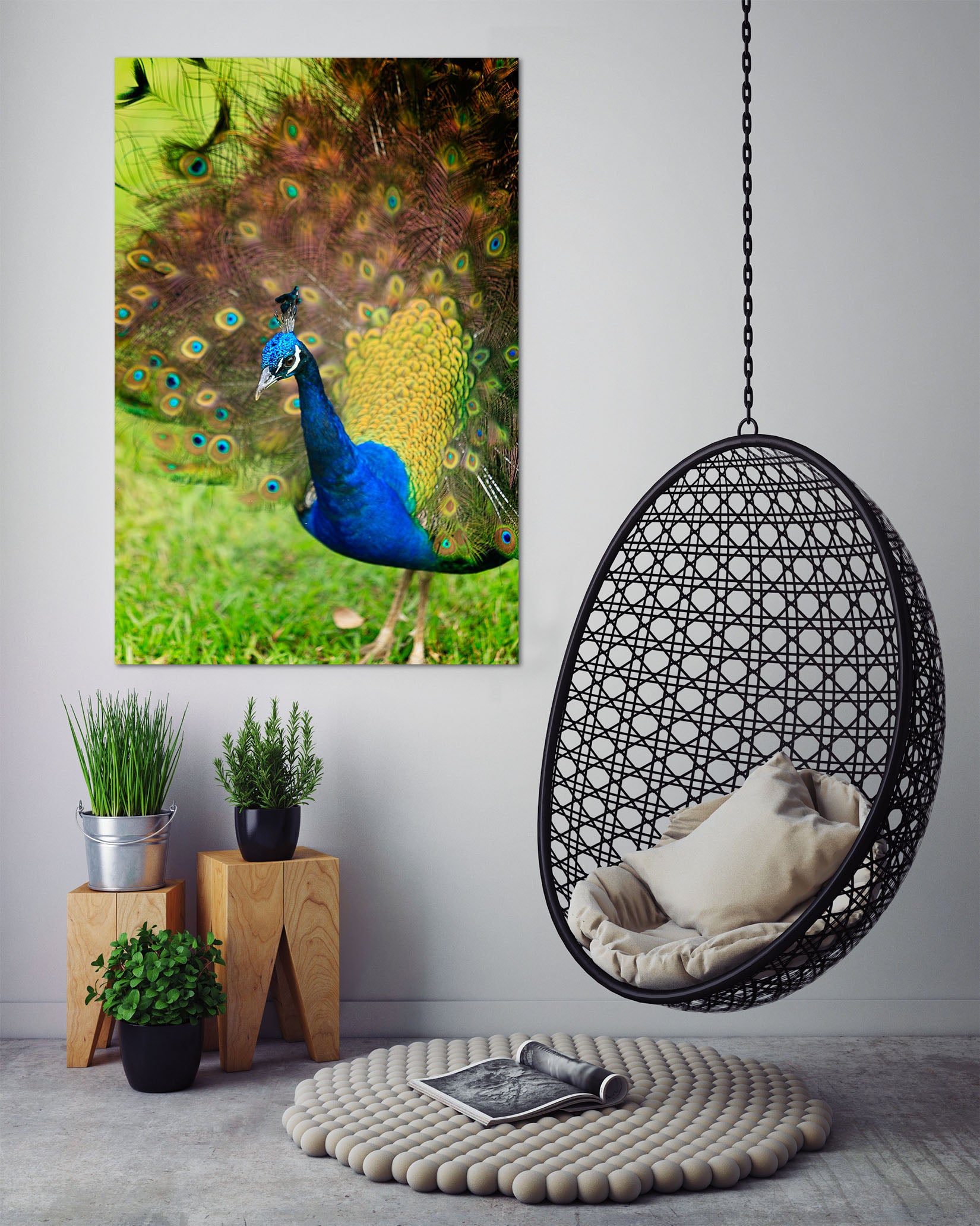 3D Peacock 61206 Kathy Barefield Wall Sticker