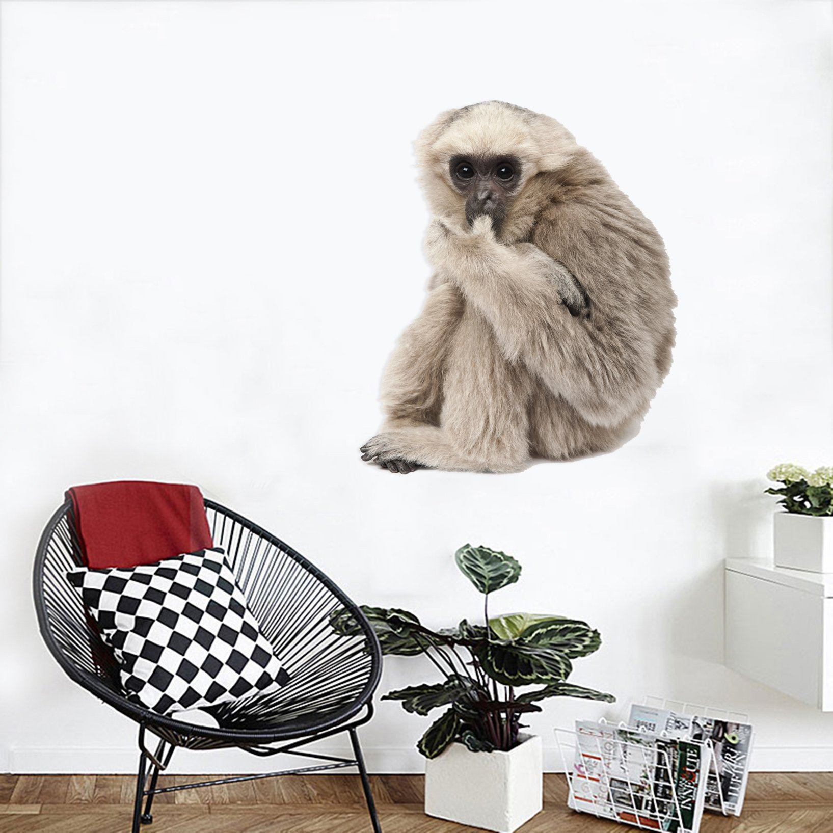 3D Orangutan Eating A Finger 190 Animals Wall Stickers Wallpaper AJ Wallpaper