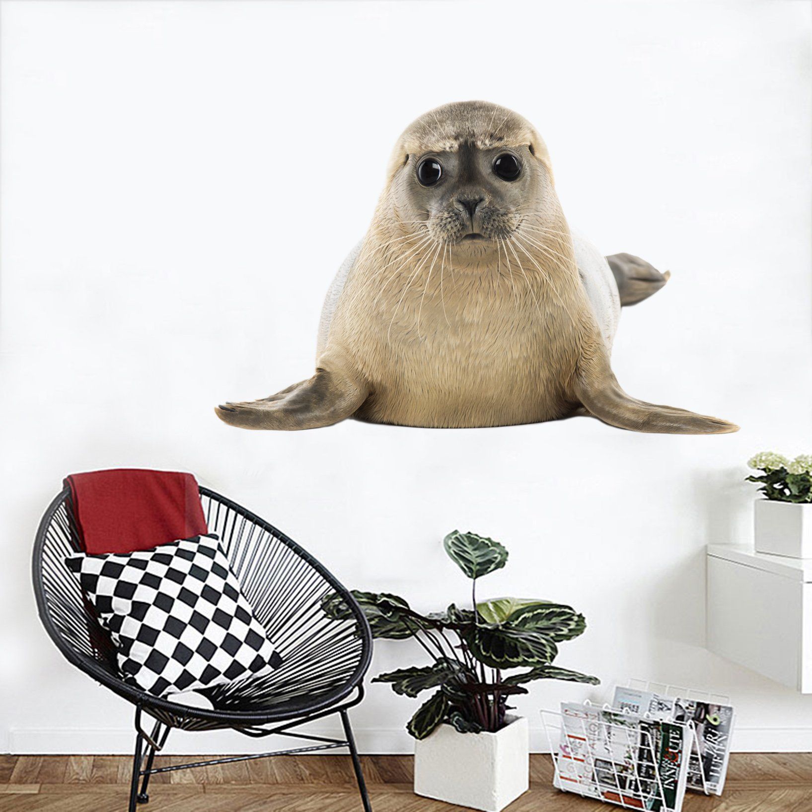 3D Sea Lion Face 196 Animals Wall Stickers Wallpaper AJ Wallpaper