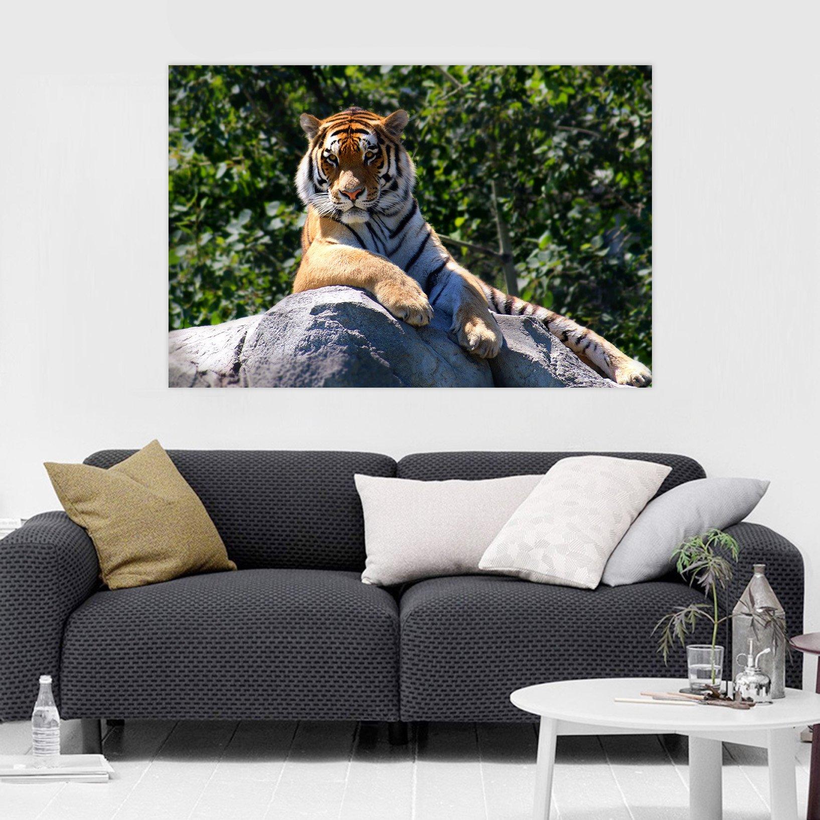 3D Tiger King 125 Animal Wall Stickers Wallpaper AJ Wallpaper 2