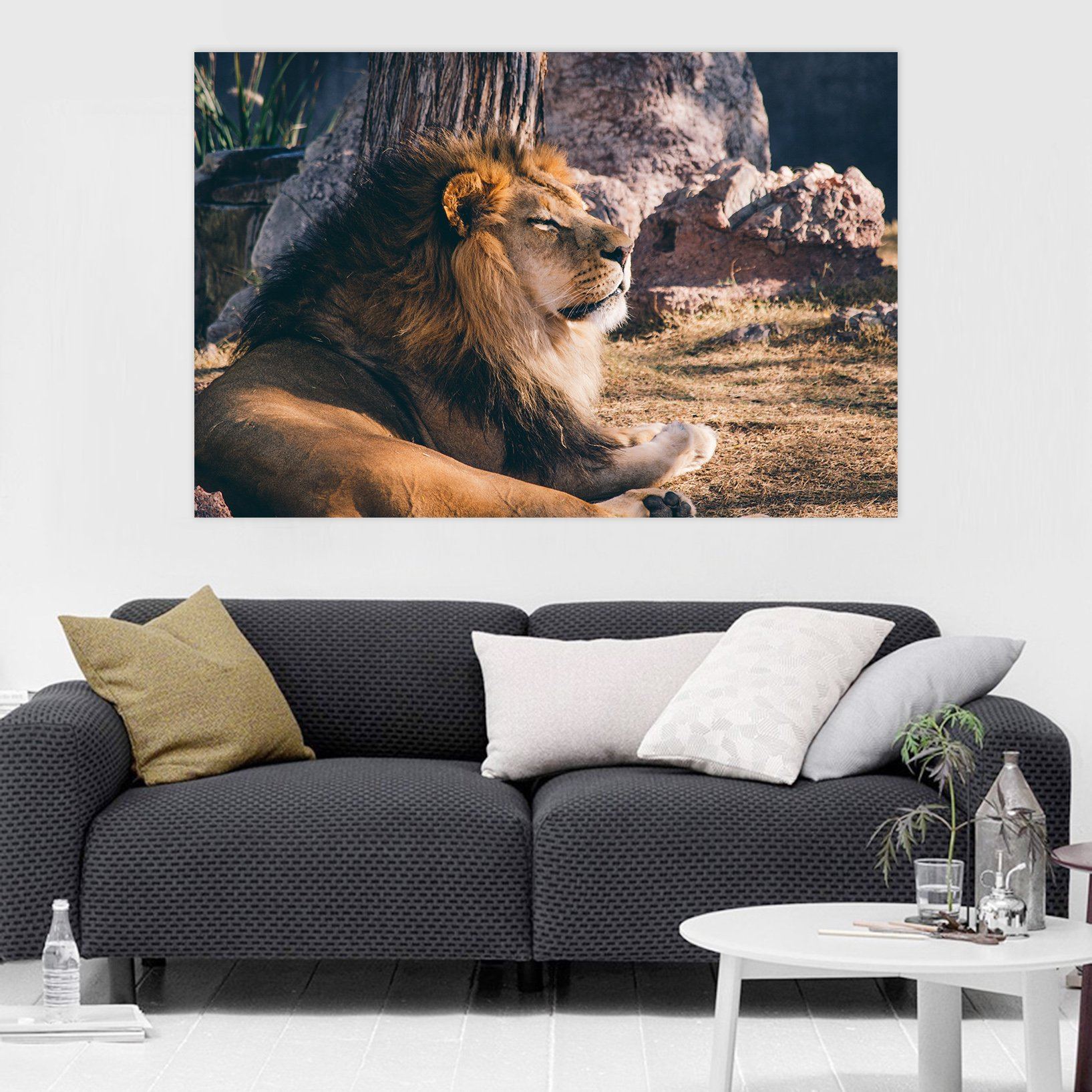 3D Lion 93 Animal Wall Stickers Wallpaper AJ Wallpaper 2