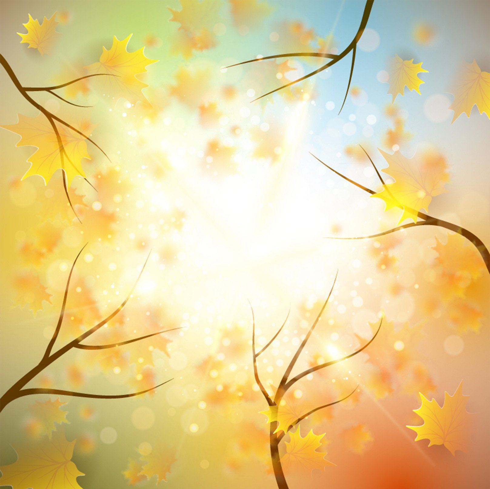 Trees Bright Sunshine Wallpaper AJ Wallpaper
