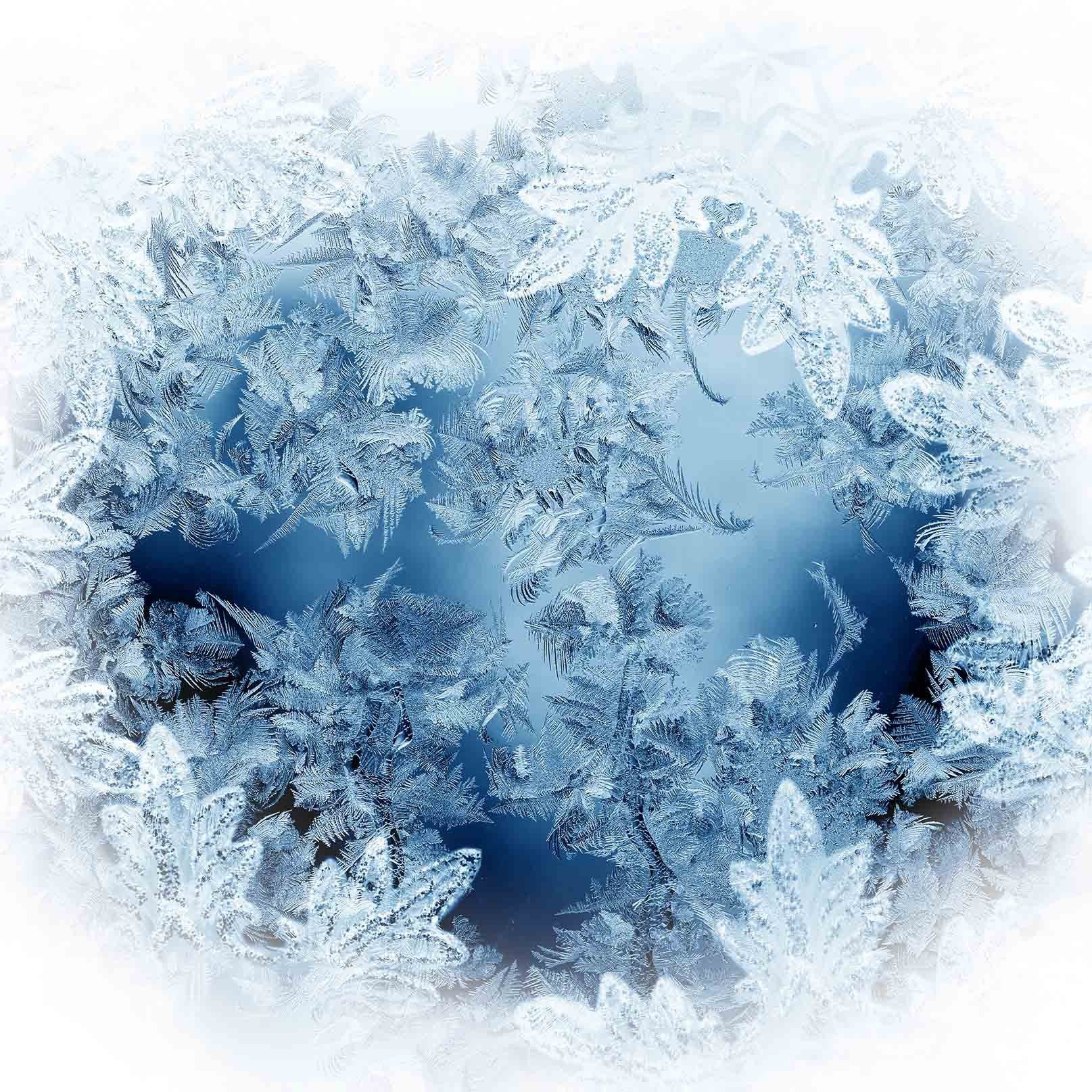 Frozen Leaves Wallpaper AJ Wallpaper
