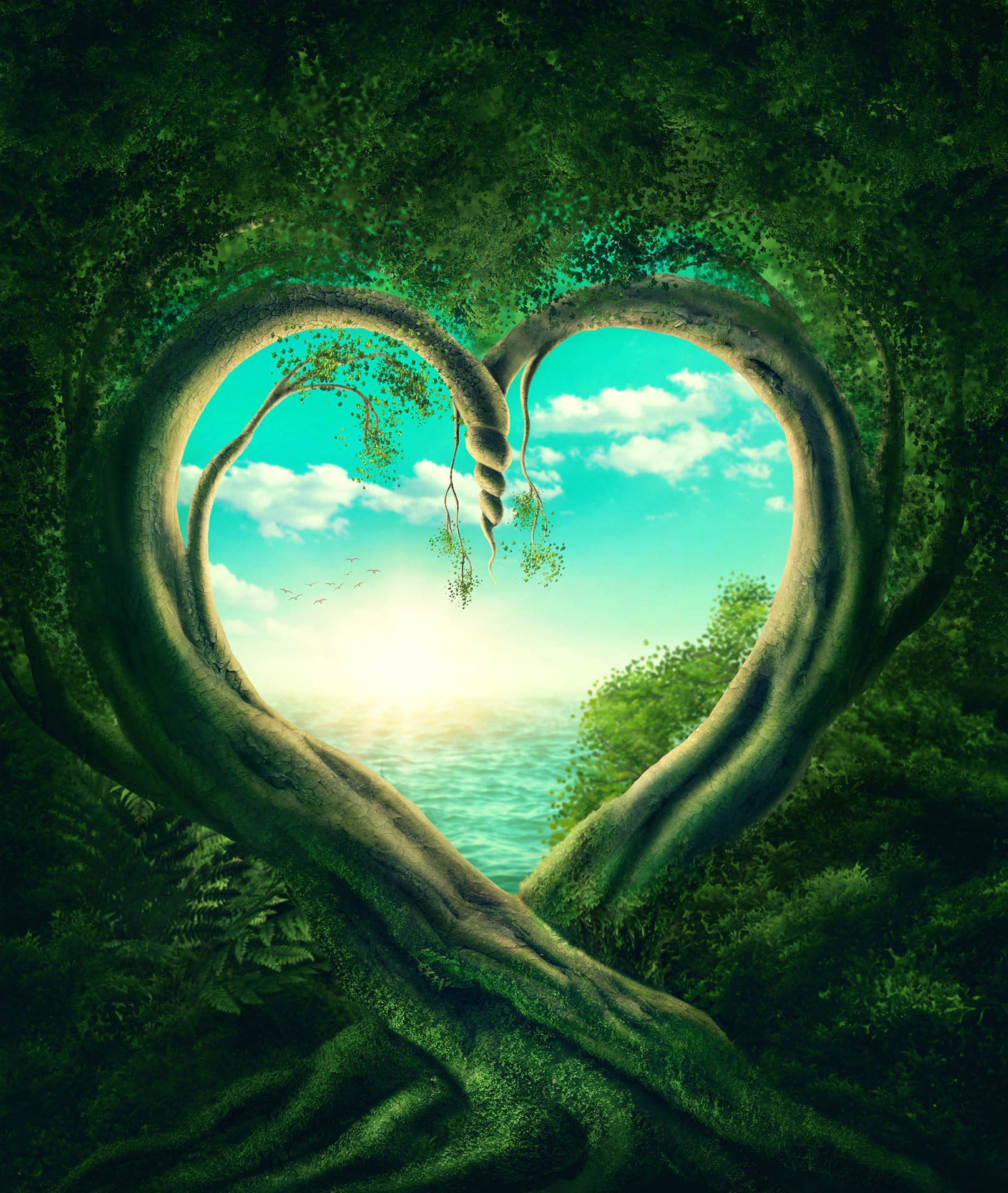 Romantic Trees Couple Wallpaper AJ Wallpaper