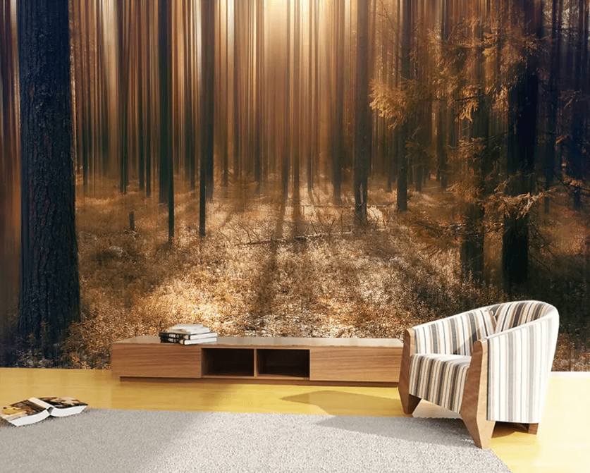 3D Sunlight Dead Forest 1214 Wallpaper AJ Wallpaper 2