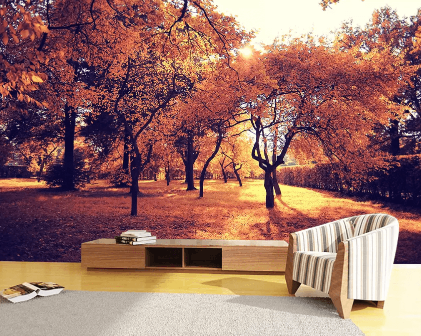 3D Forest Shadow 1215 Wallpaper AJ Wallpaper 2