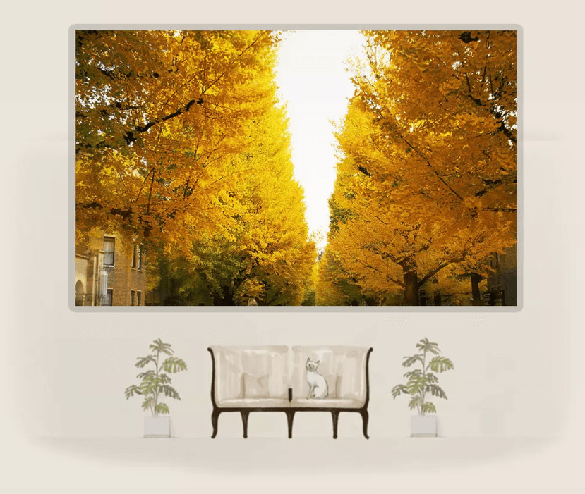 3D Lush Autumn Maple 1187 Wallpaper AJ Wallpaper 2