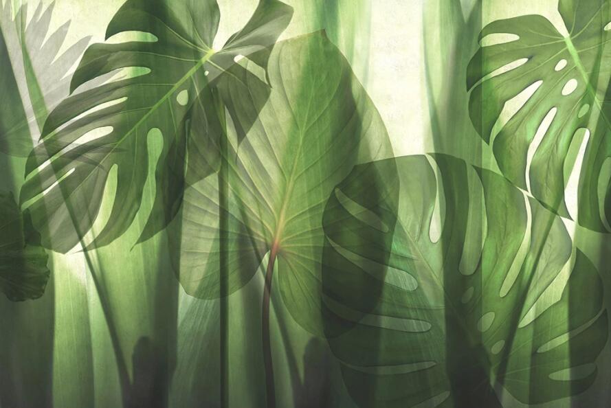 3D Green Leaf 1863 Wall Murals Wallpaper AJ Wallpaper 2