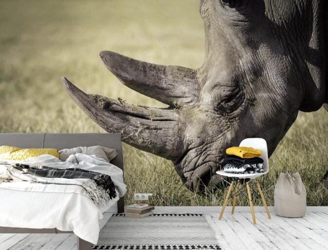 3D Rhino Prairie WC619 Wall Murals Wallpaper AJ Wallpaper 2