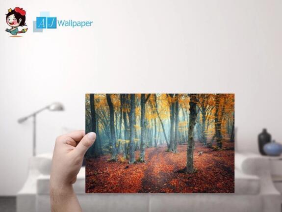 $10 Customize Sample AJ Wallpaper