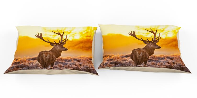 3D Deer Look Back 9928 Bed Pillowcases Quilt