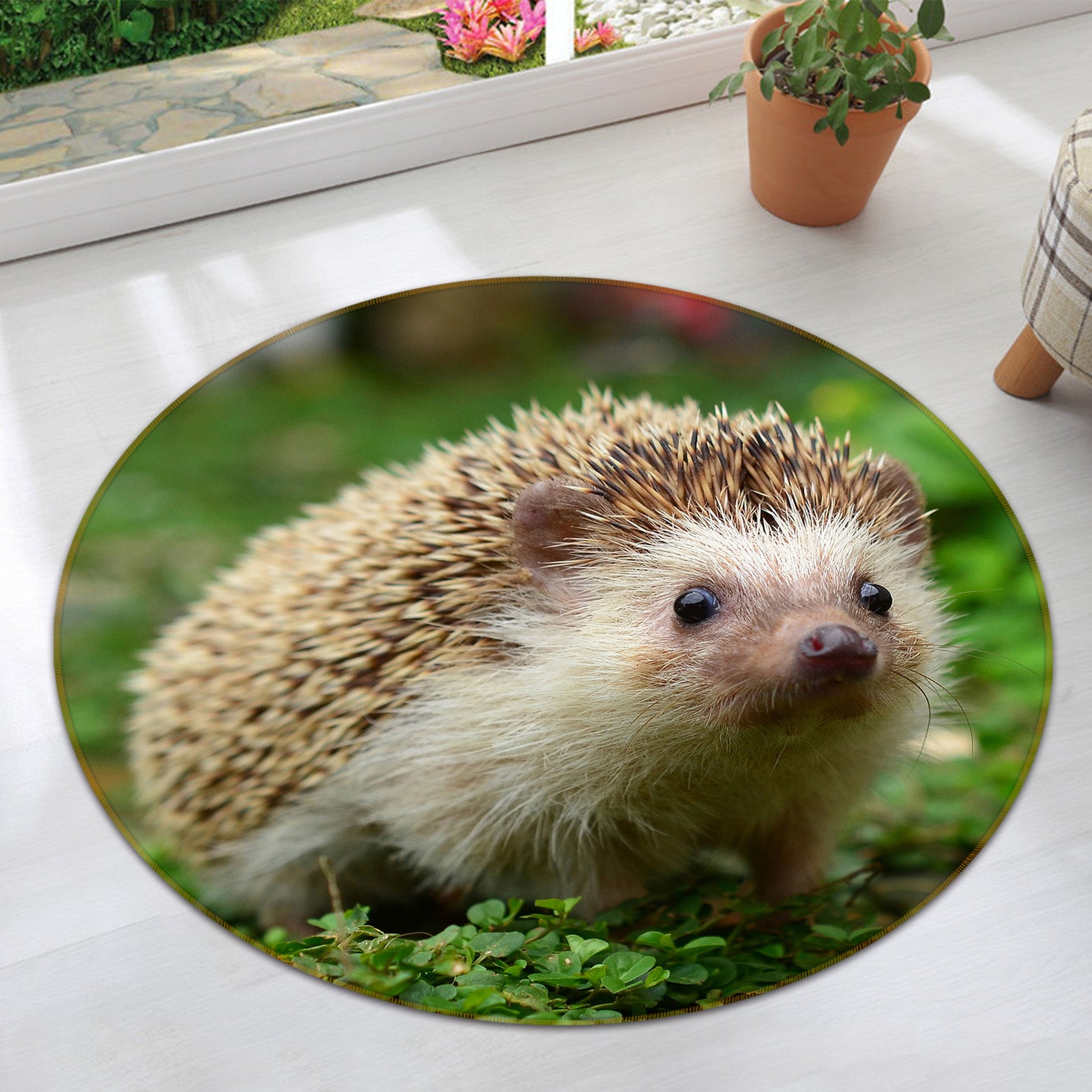 3D Hedgehog 38044 Animal Round Non Slip Rug Mat