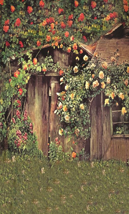 Flowers Wood House Wallpaper AJ Wallpaper