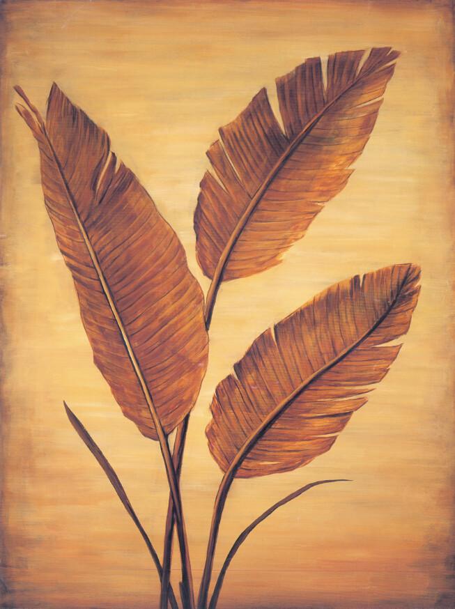 Banana Leaves Wallpaper AJ Wallpaper