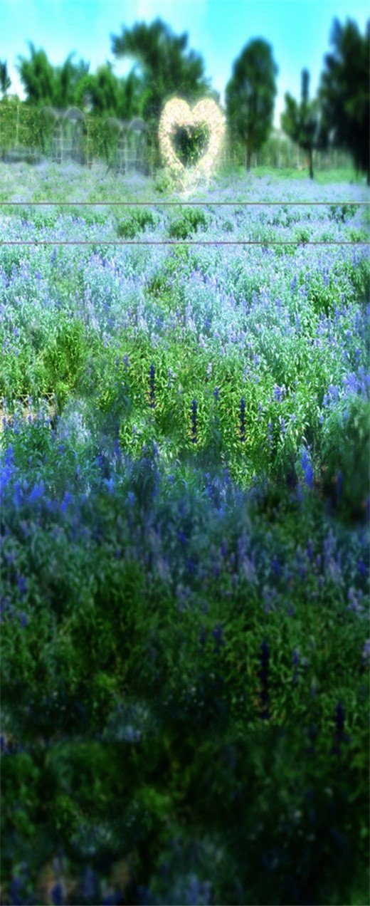 3D love flower field door mural Wallpaper AJ Wallpaper