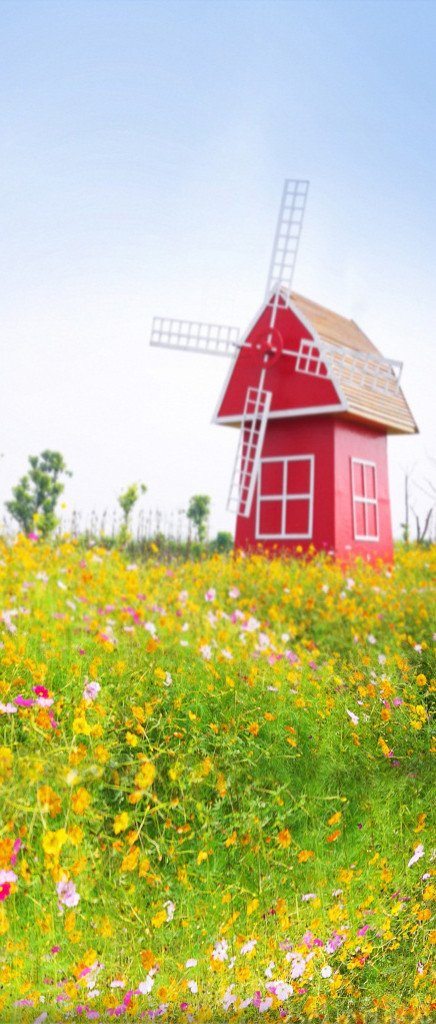 3D windmill flowers from painting door mural Wallpaper AJ Wallpaper