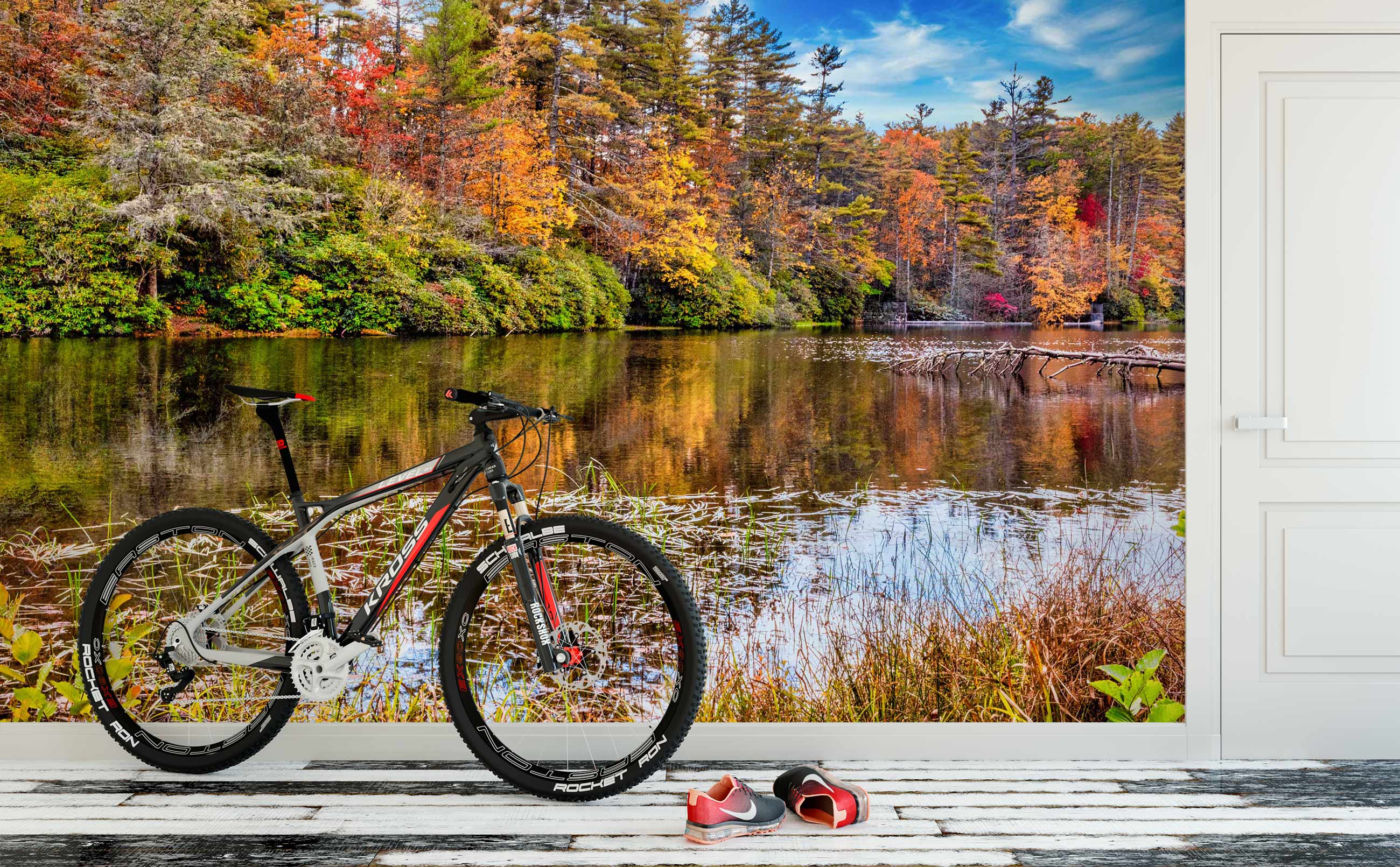 3D Forest River 5248 Beth Sheridan Wall Mural Wall Murals