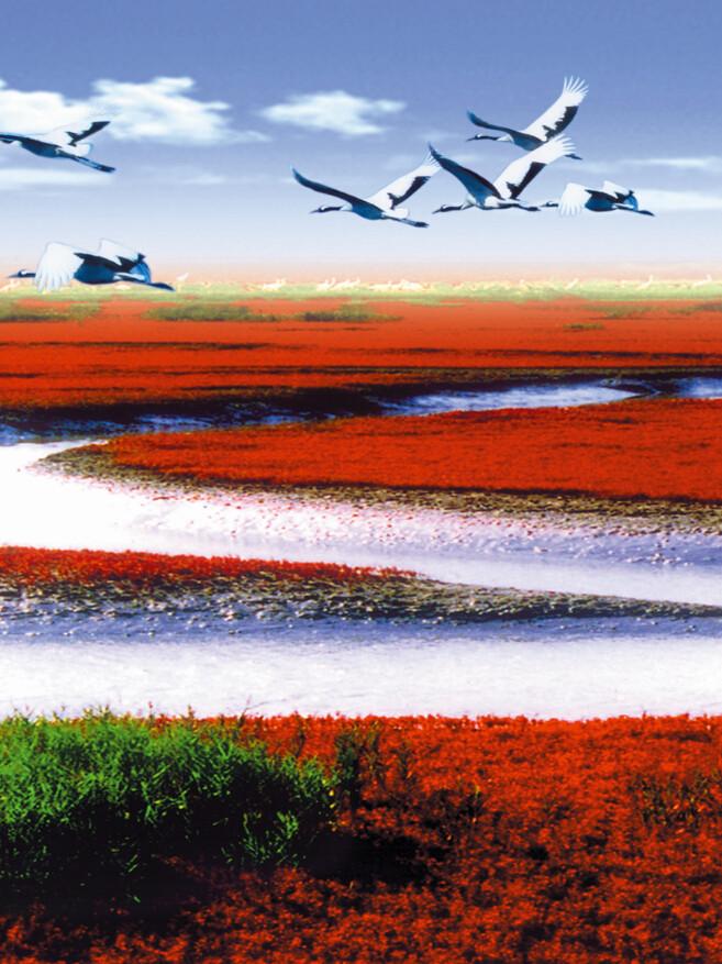 Flying Birds 5 Wallpaper AJ Wallpaper