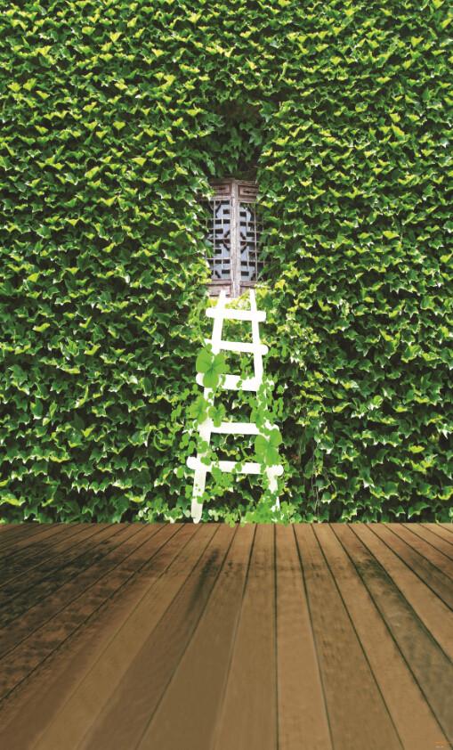 Green Wall 1 Wallpaper AJ Wallpaper