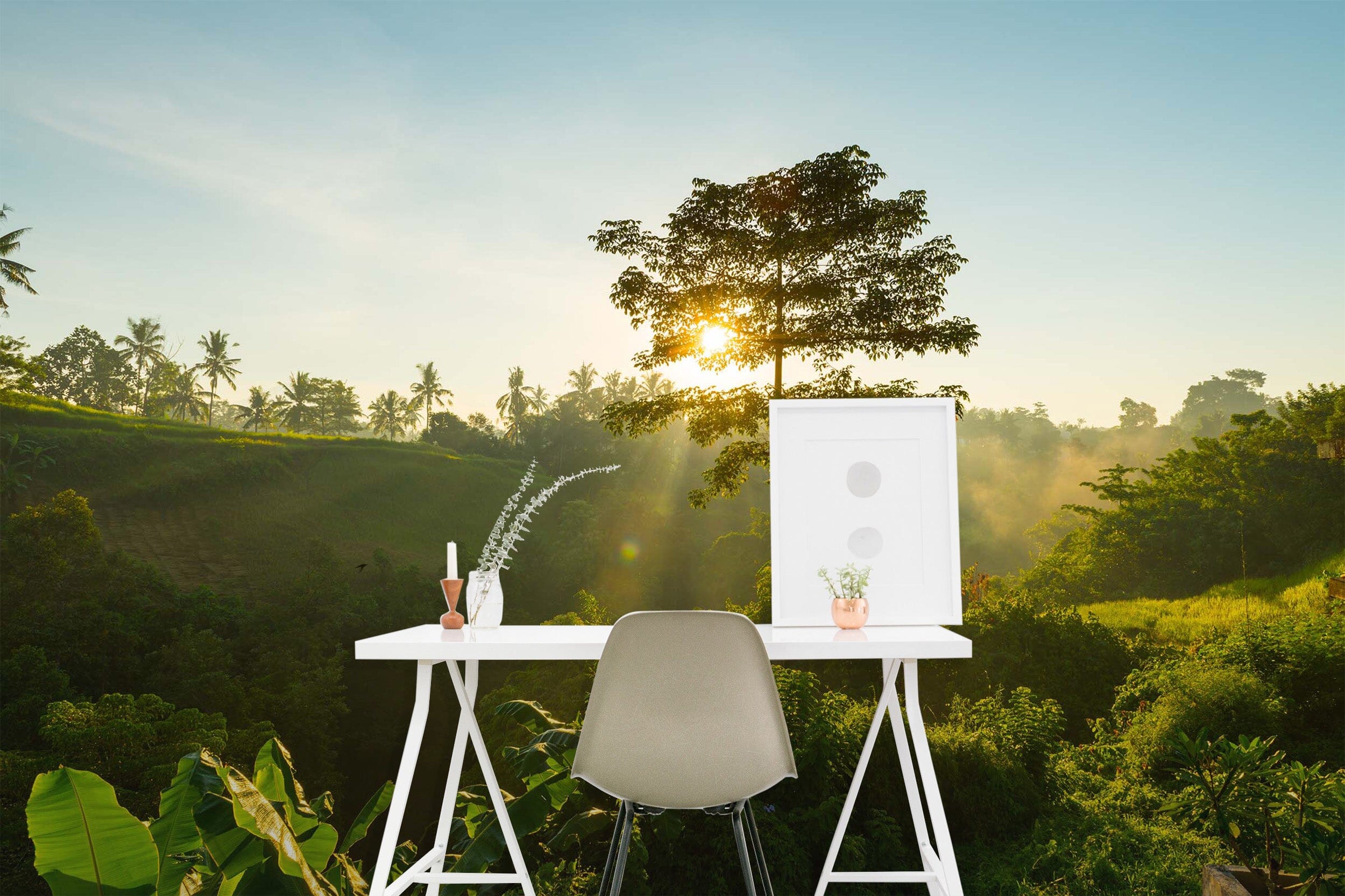 3D Sun Forest Nature 92 Wall Murals Wallpaper AJ Wallpaper 2