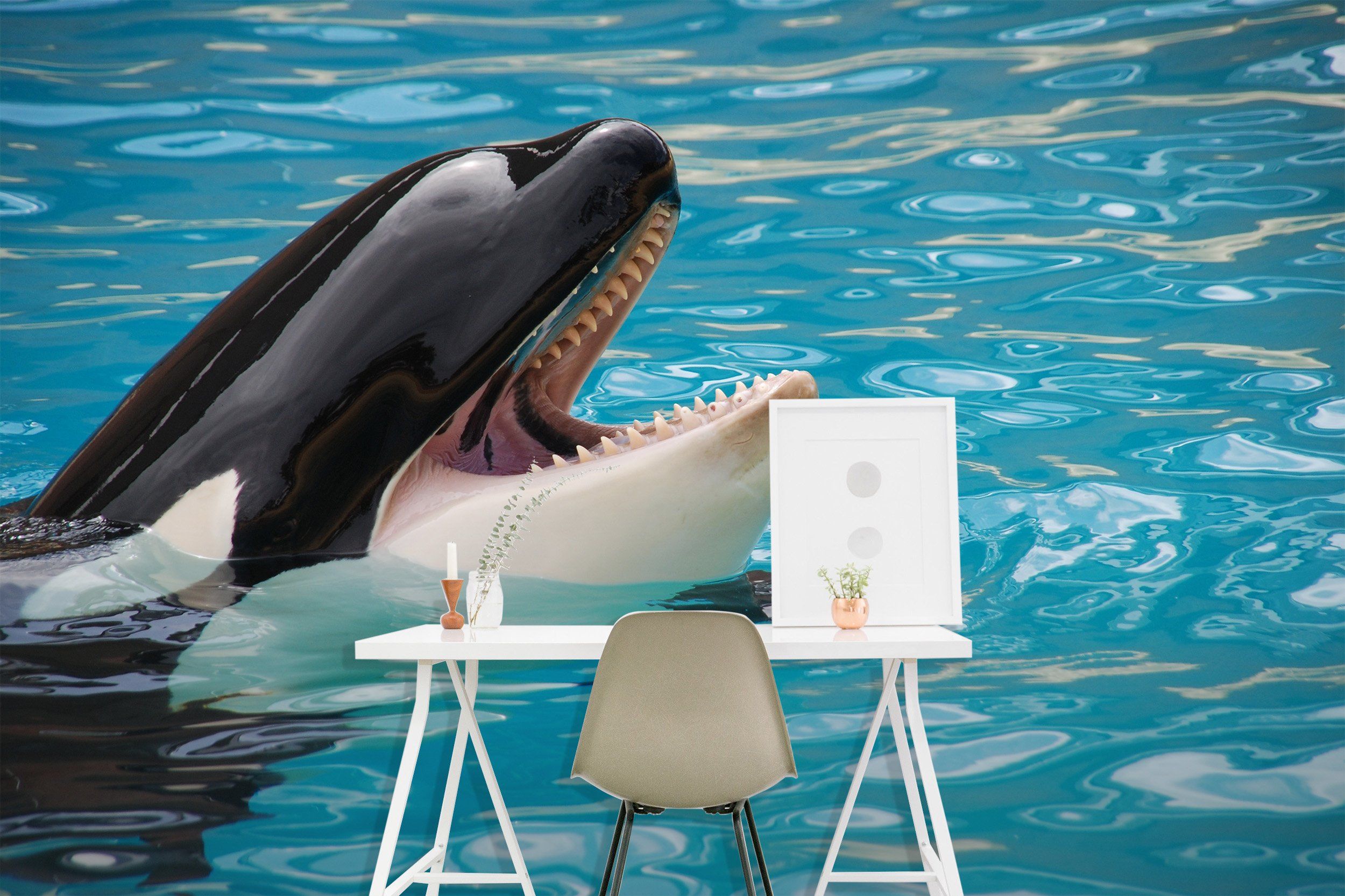 3D Black Dolphin 060 Wallpaper AJ Wallpaper