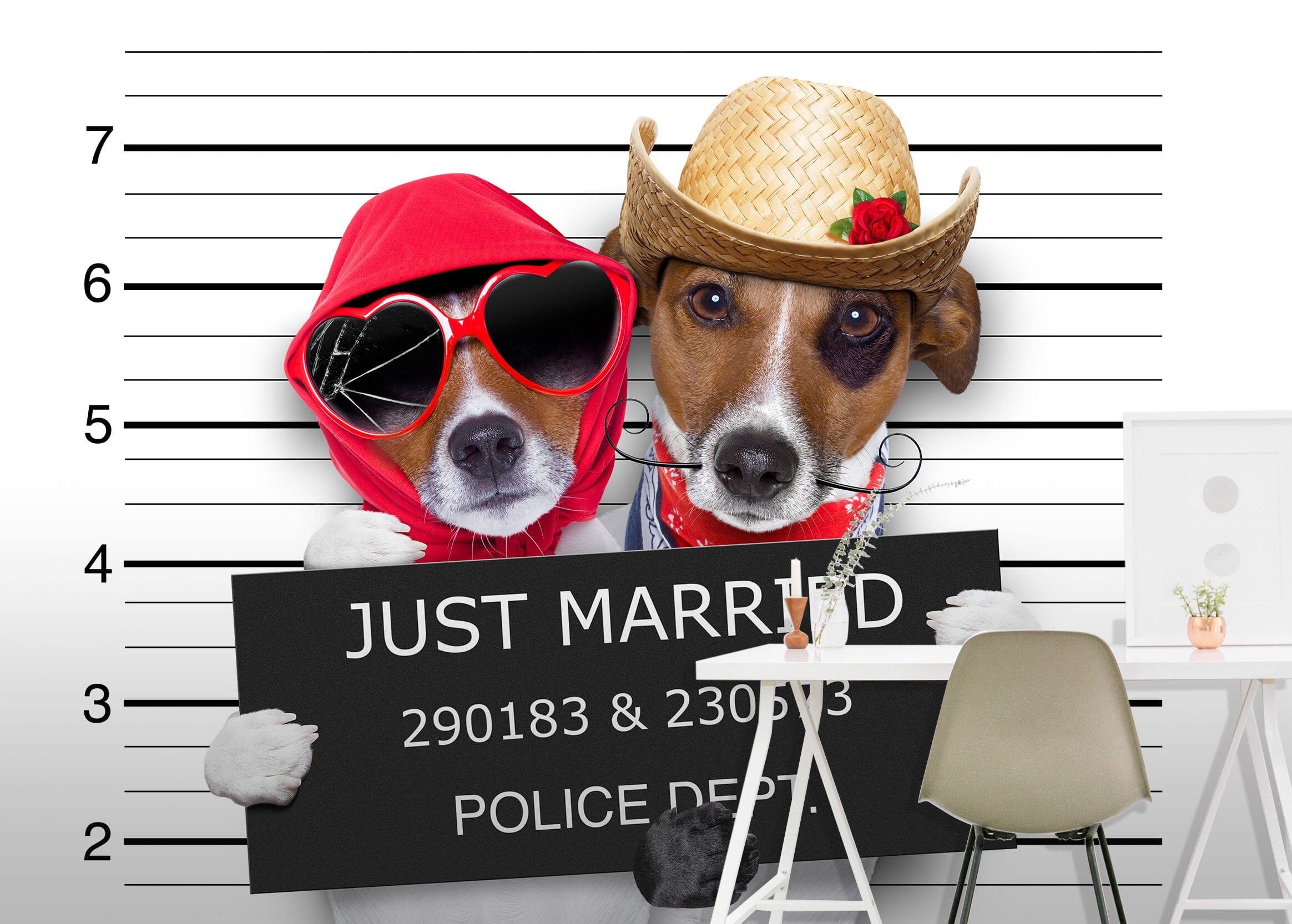 3D Puppy Sunglasses 378 Wall Murals Wallpaper AJ Wallpaper 2