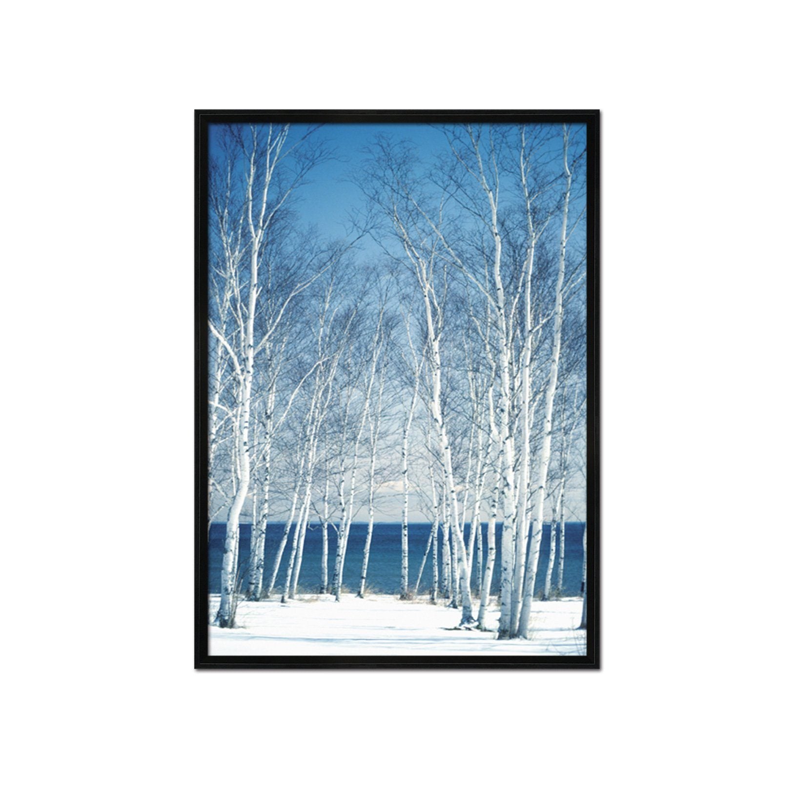 3D Snow Woods 033 Fake Framed Print Painting Wallpaper AJ Creativity Home
