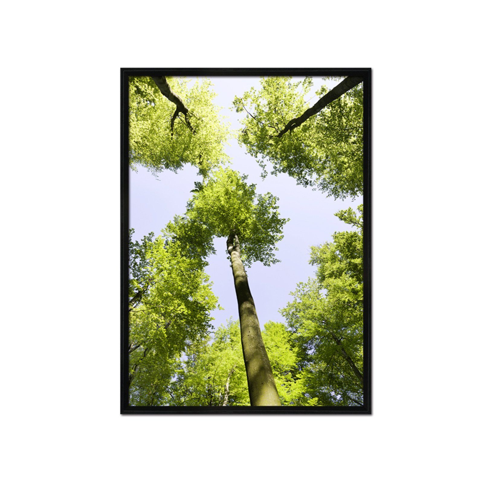 3D Big Tree 017 Fake Framed Print Painting Wallpaper AJ Creativity Home