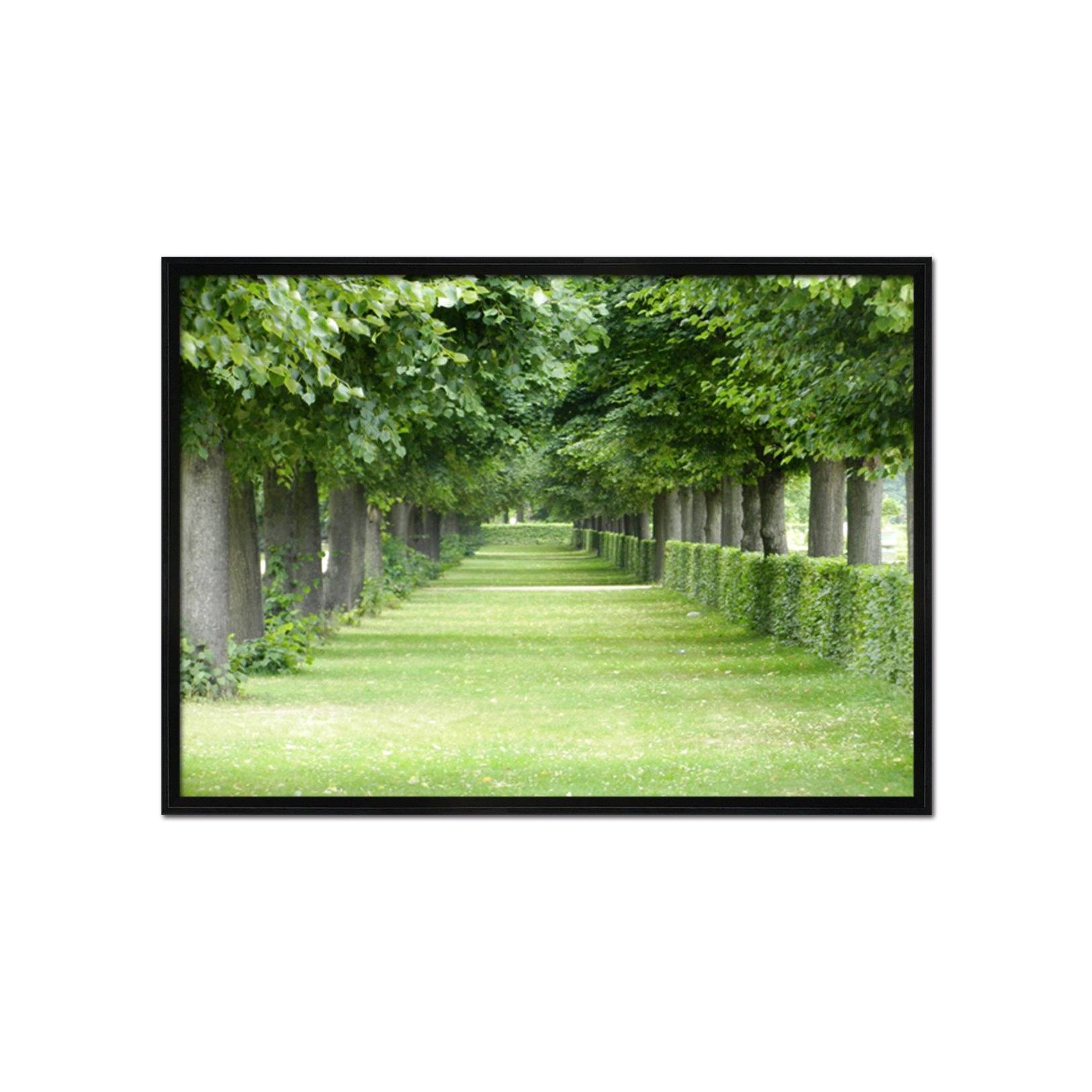 3D Quiet Trail 197 Fake Framed Print Painting Wallpaper AJ Creativity Home