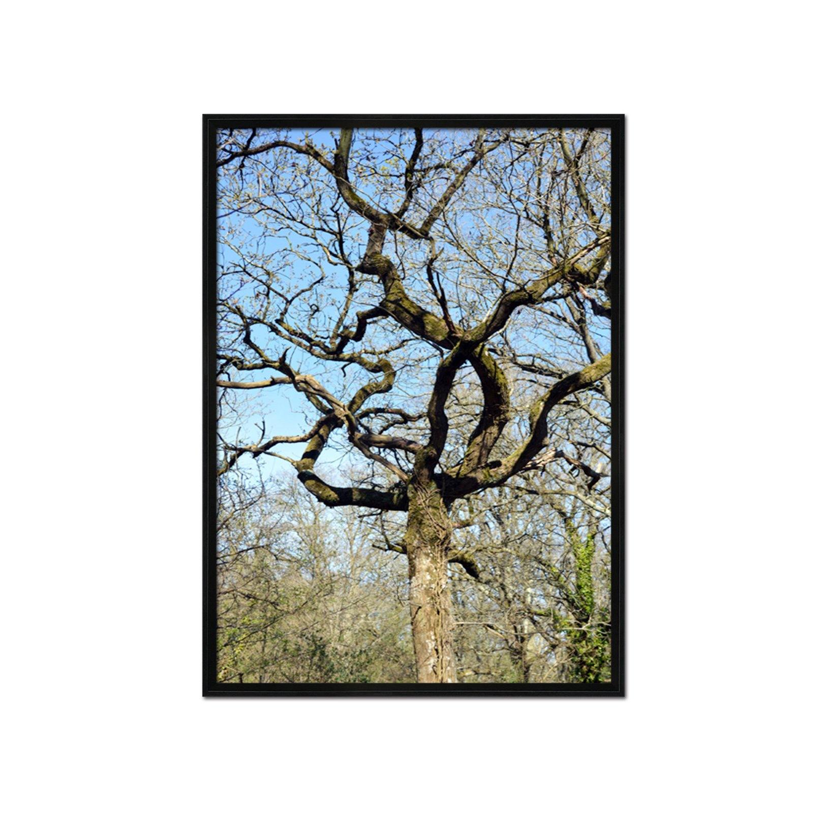 3D Tree Bending 073 Fake Framed Print Painting Wallpaper AJ Creativity Home