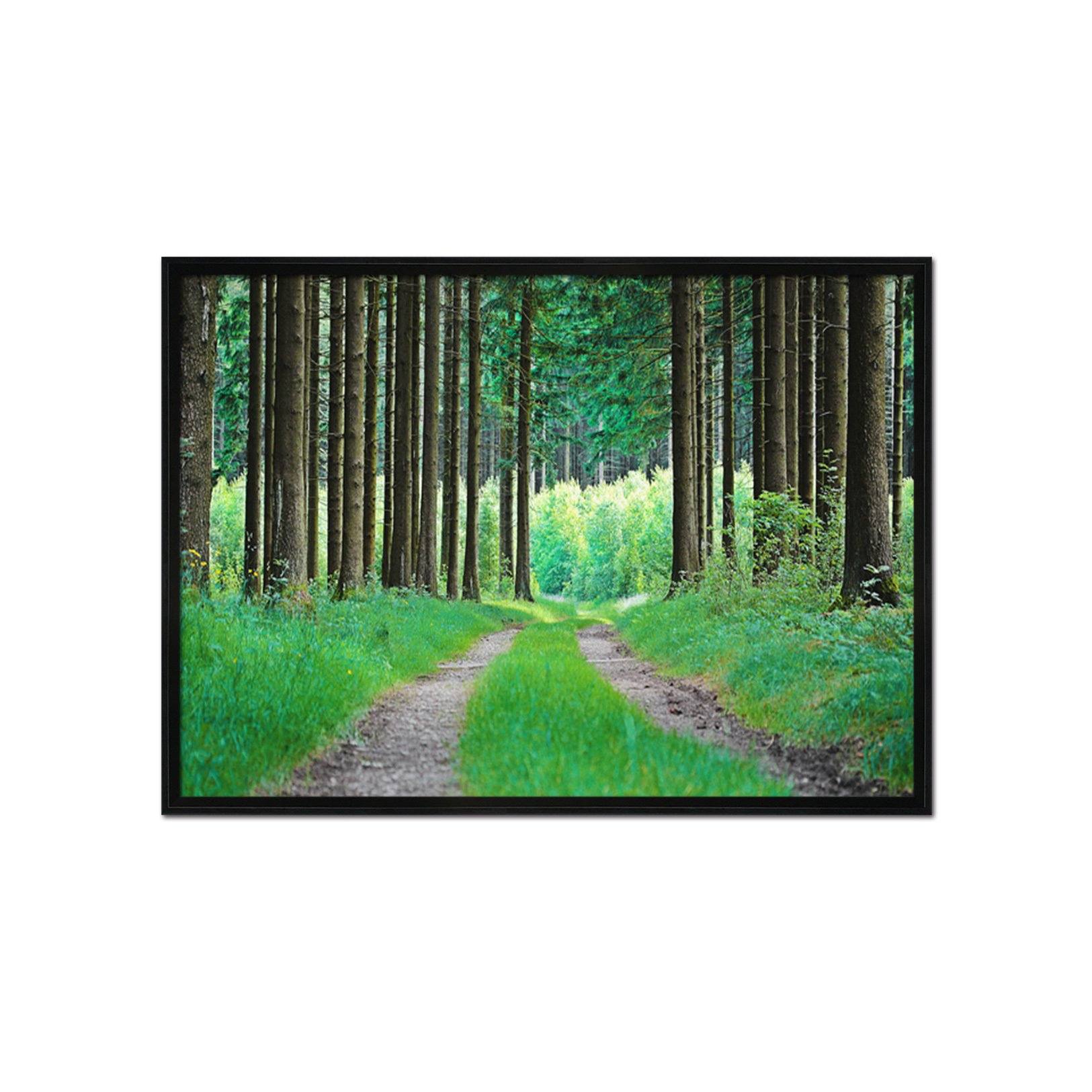 3D Grass Road 022 Fake Framed Print Painting Wallpaper AJ Creativity Home