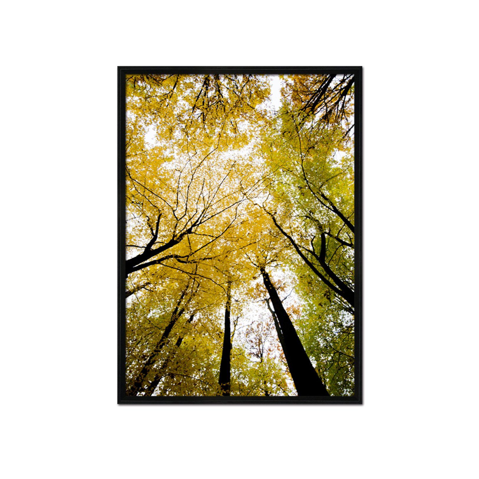 3D Sunny Tree 006 Fake Framed Print Painting Wallpaper AJ Creativity Home