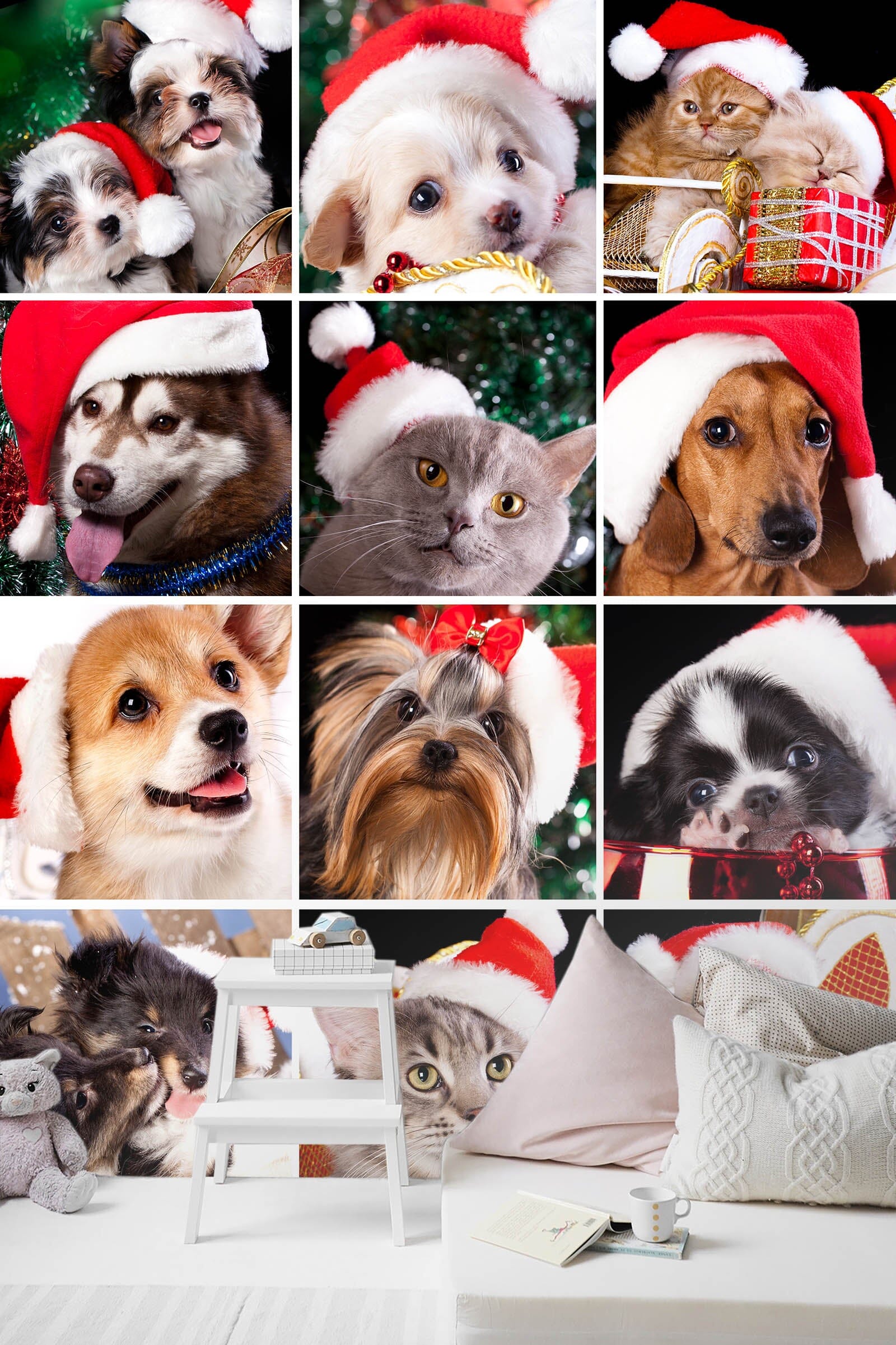 3D Puppy Kitten 147 Wall Murals Wallpaper AJ Wallpaper 2