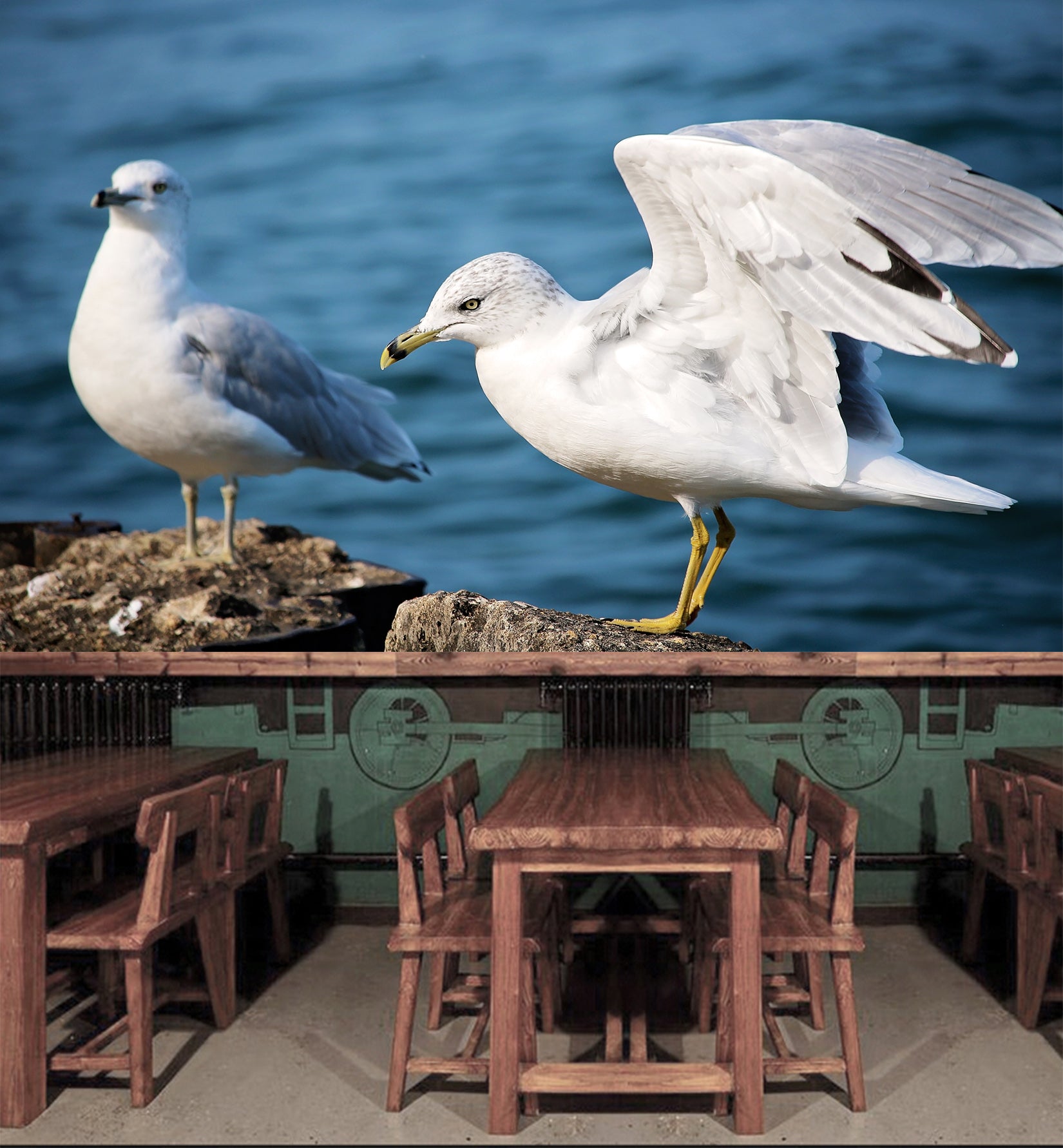 3D Seagull 025 Wall Murals Wallpaper AJ Wallpaper 2