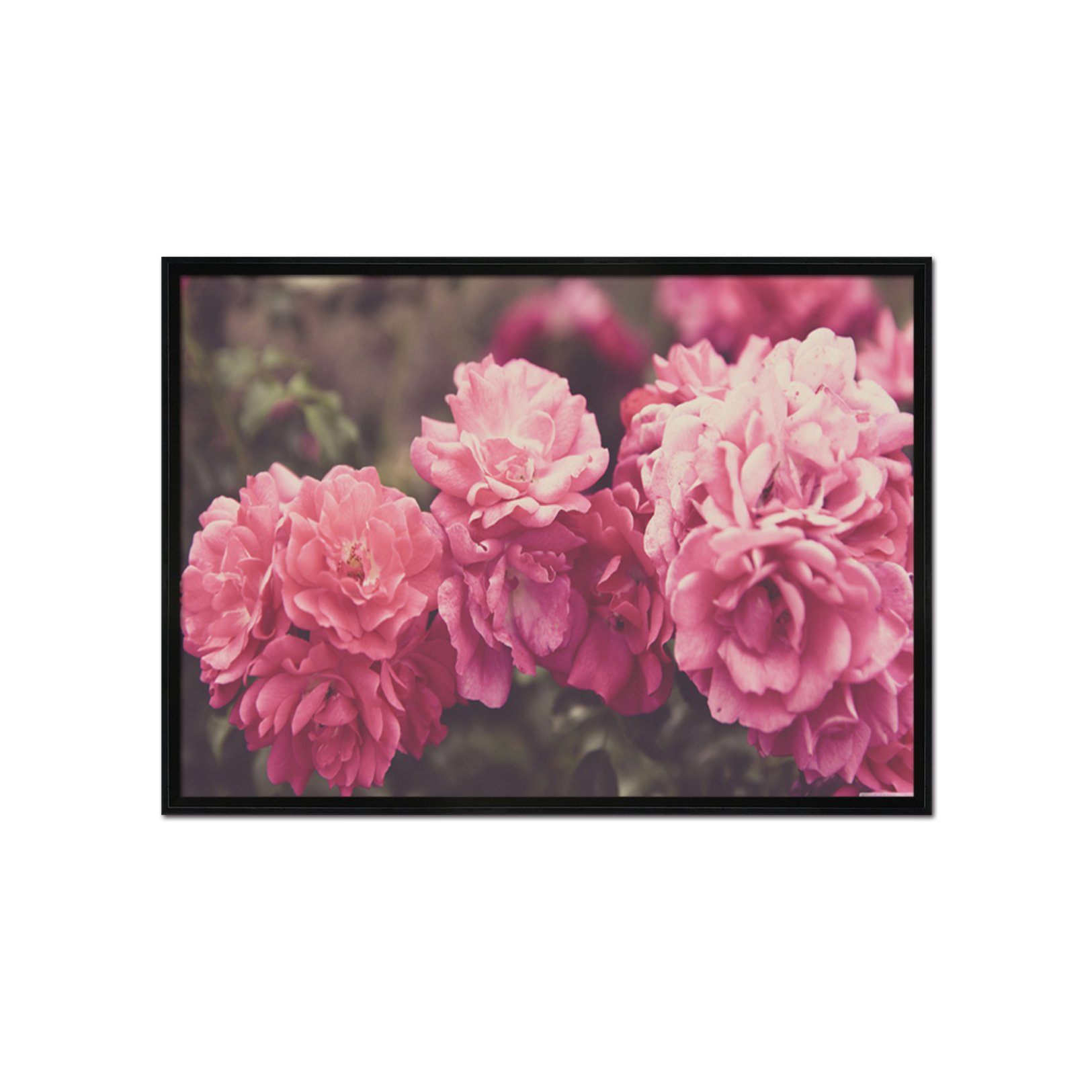 3D Pink Flower 030 Fake Framed Print Painting Wallpaper AJ Creativity Home