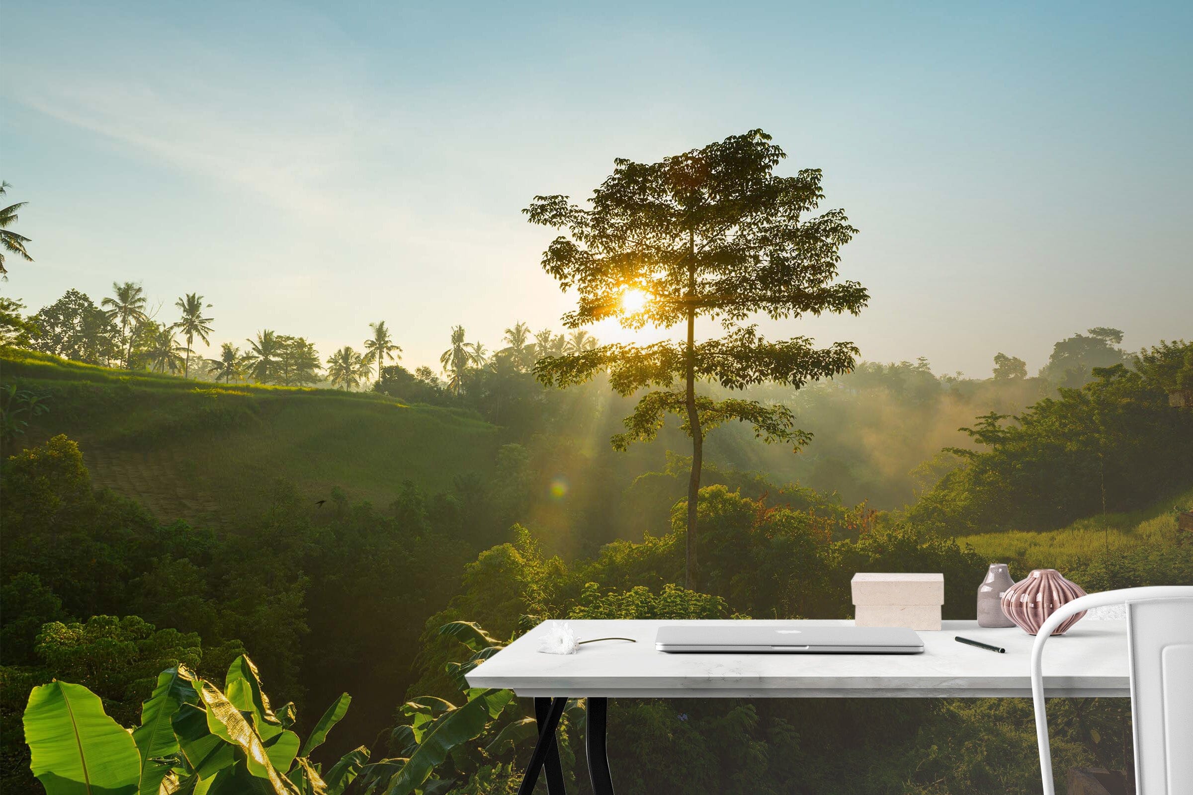 3D Sun Forest Nature 92 Wall Murals Wallpaper AJ Wallpaper 2