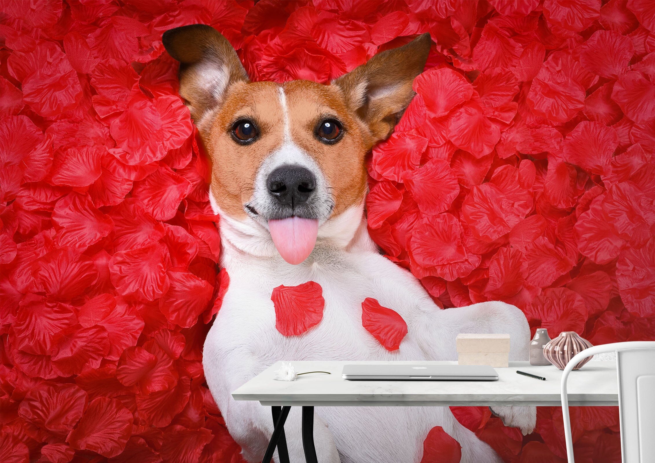 3D Petal Dog 451 Wall Murals Wallpaper AJ Wallpaper 2