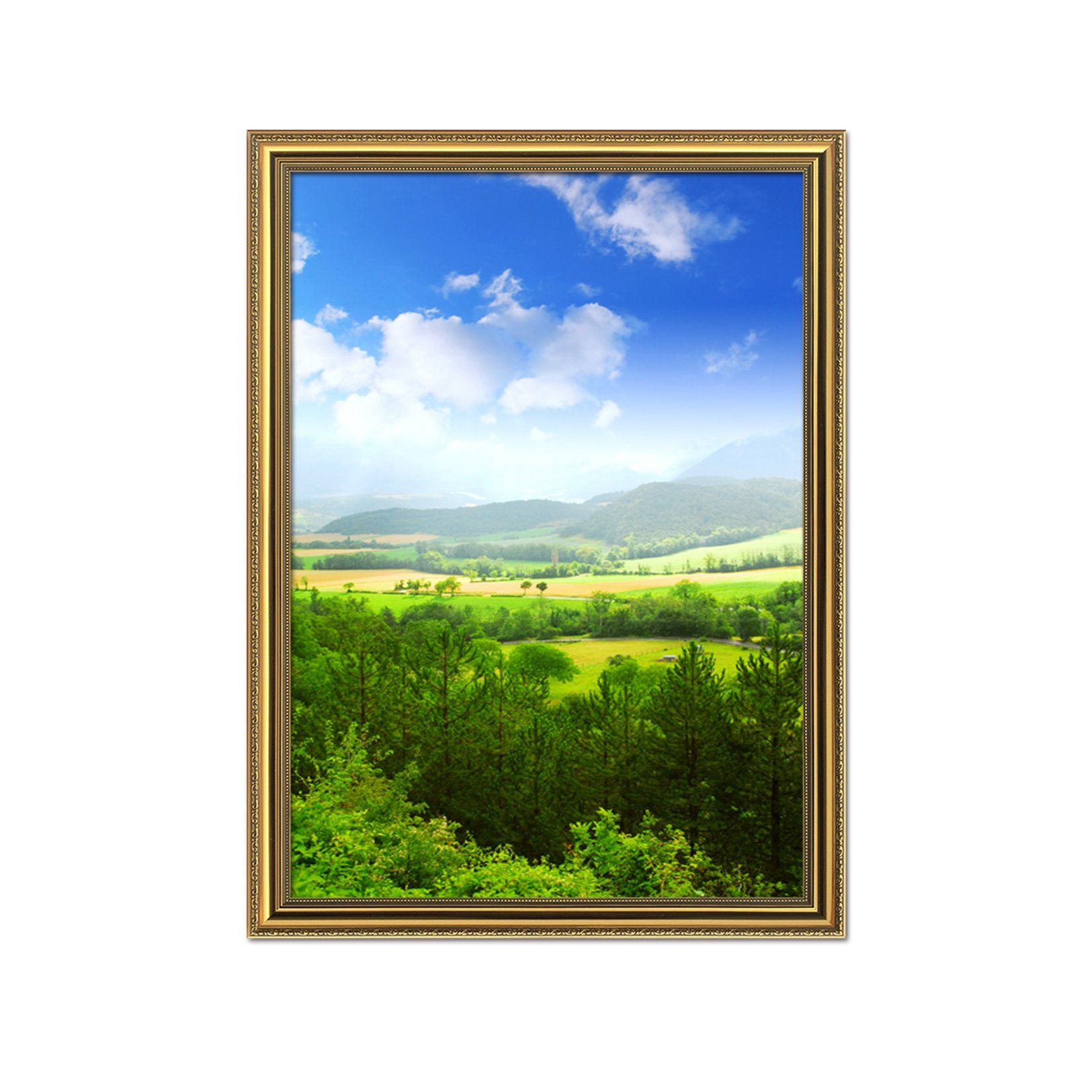 3D Forest Field 027 Fake Framed Print Painting Wallpaper AJ Creativity Home