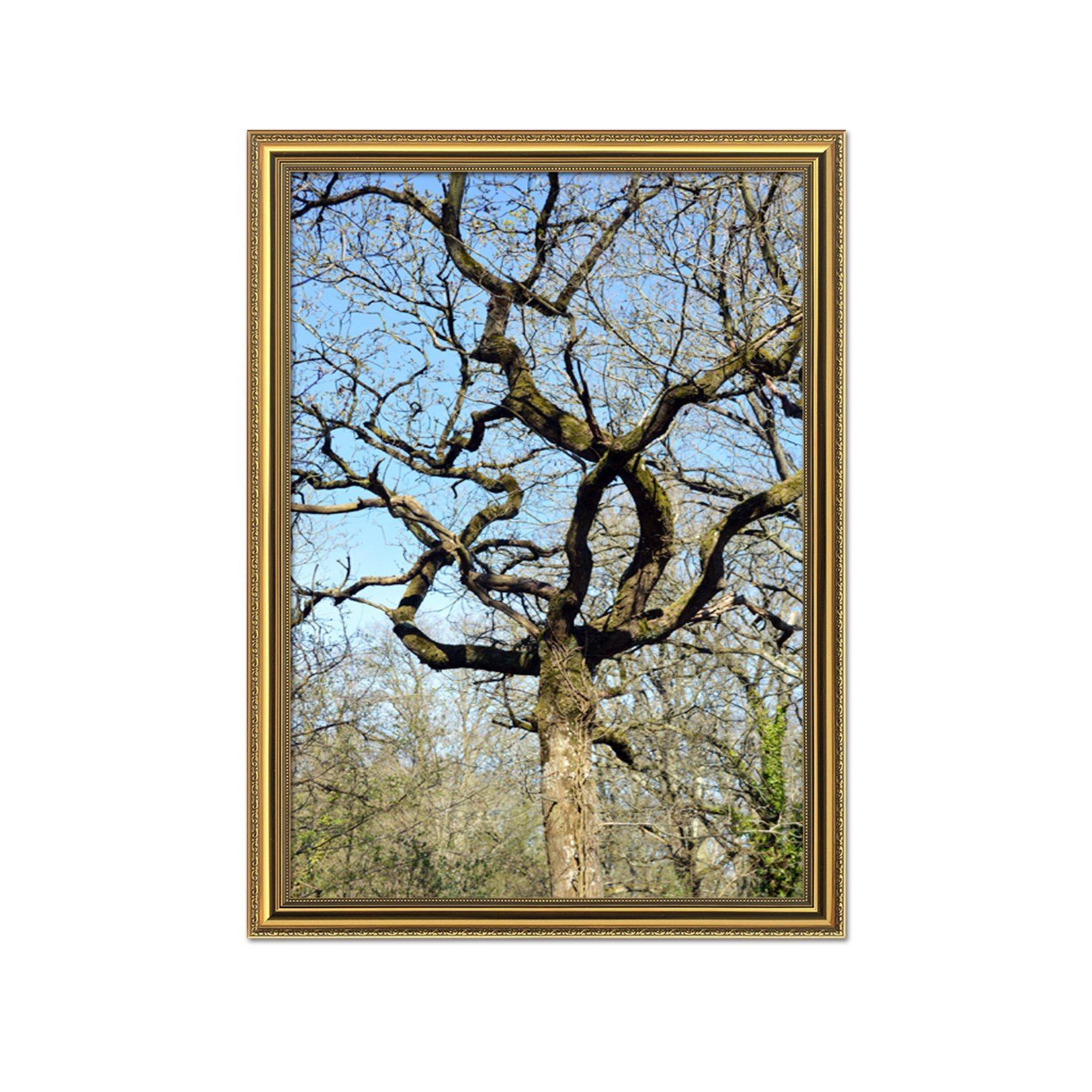 3D Tree Bending 073 Fake Framed Print Painting Wallpaper AJ Creativity Home